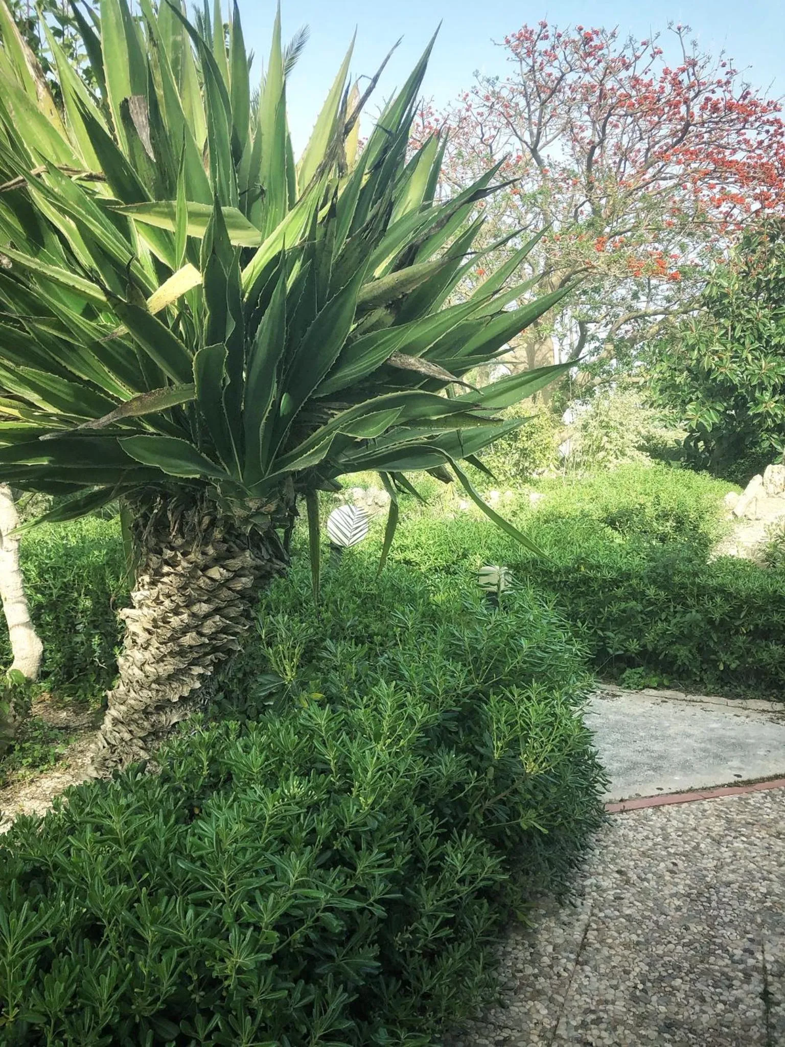 Villa Margherita Residence