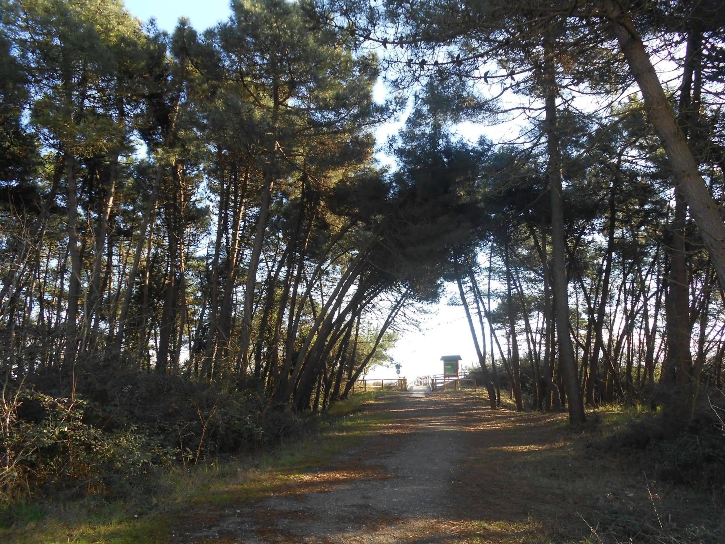 Beach in Residence Villa Marina