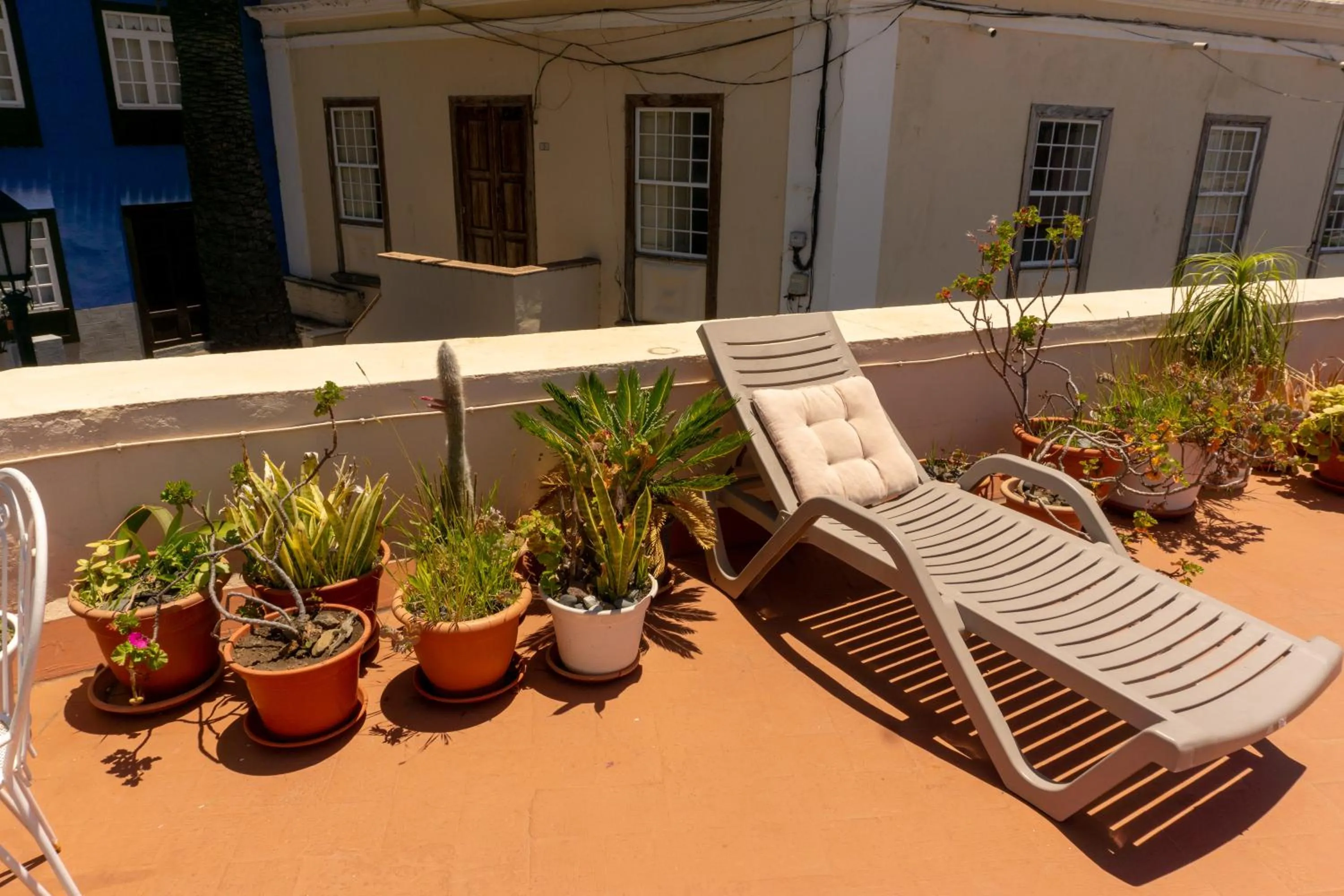 Balcony/Terrace in Hostel Albergue La Casa Encantada