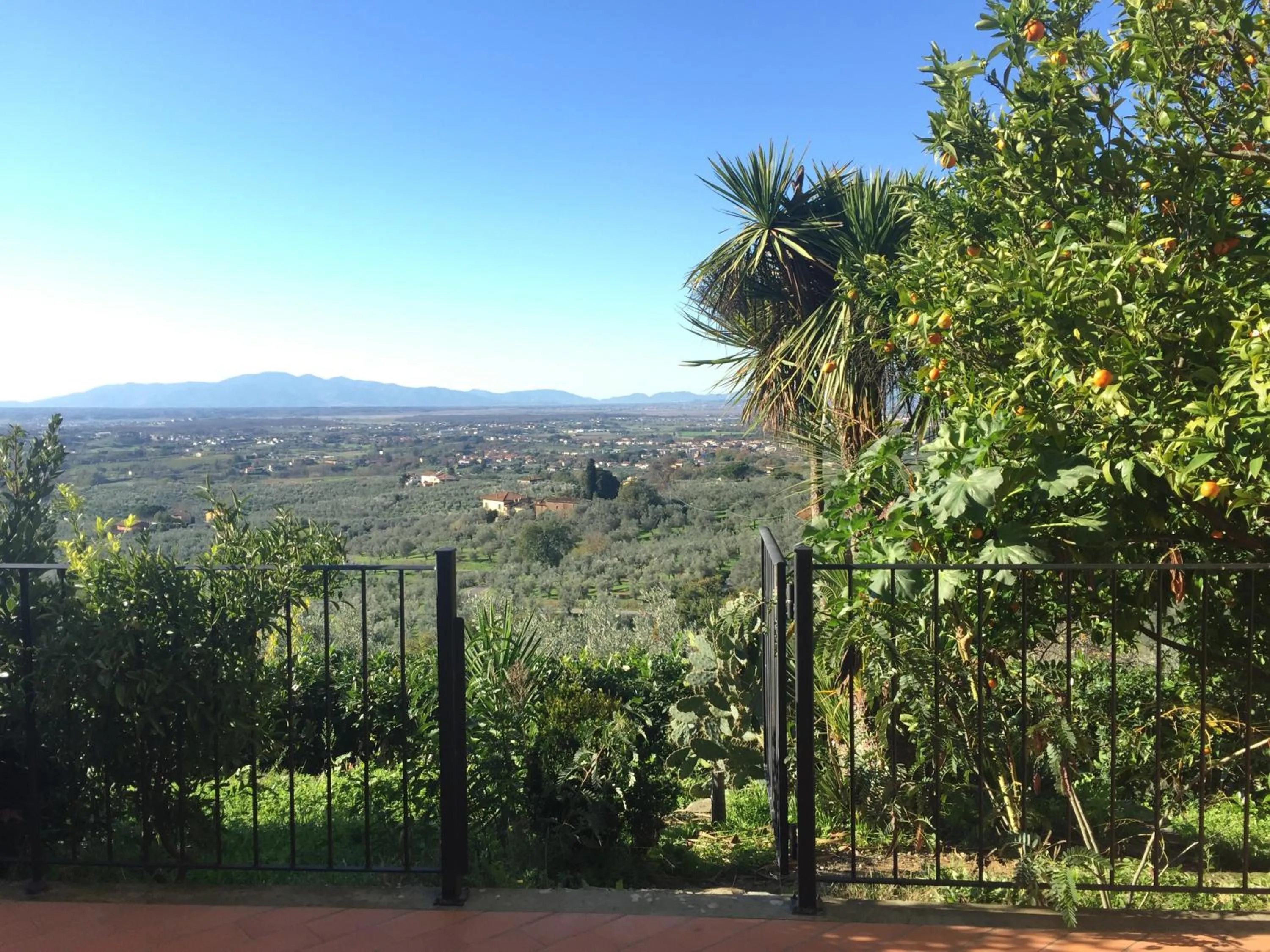 Garden view in Agriturismo Podere Rondinaio