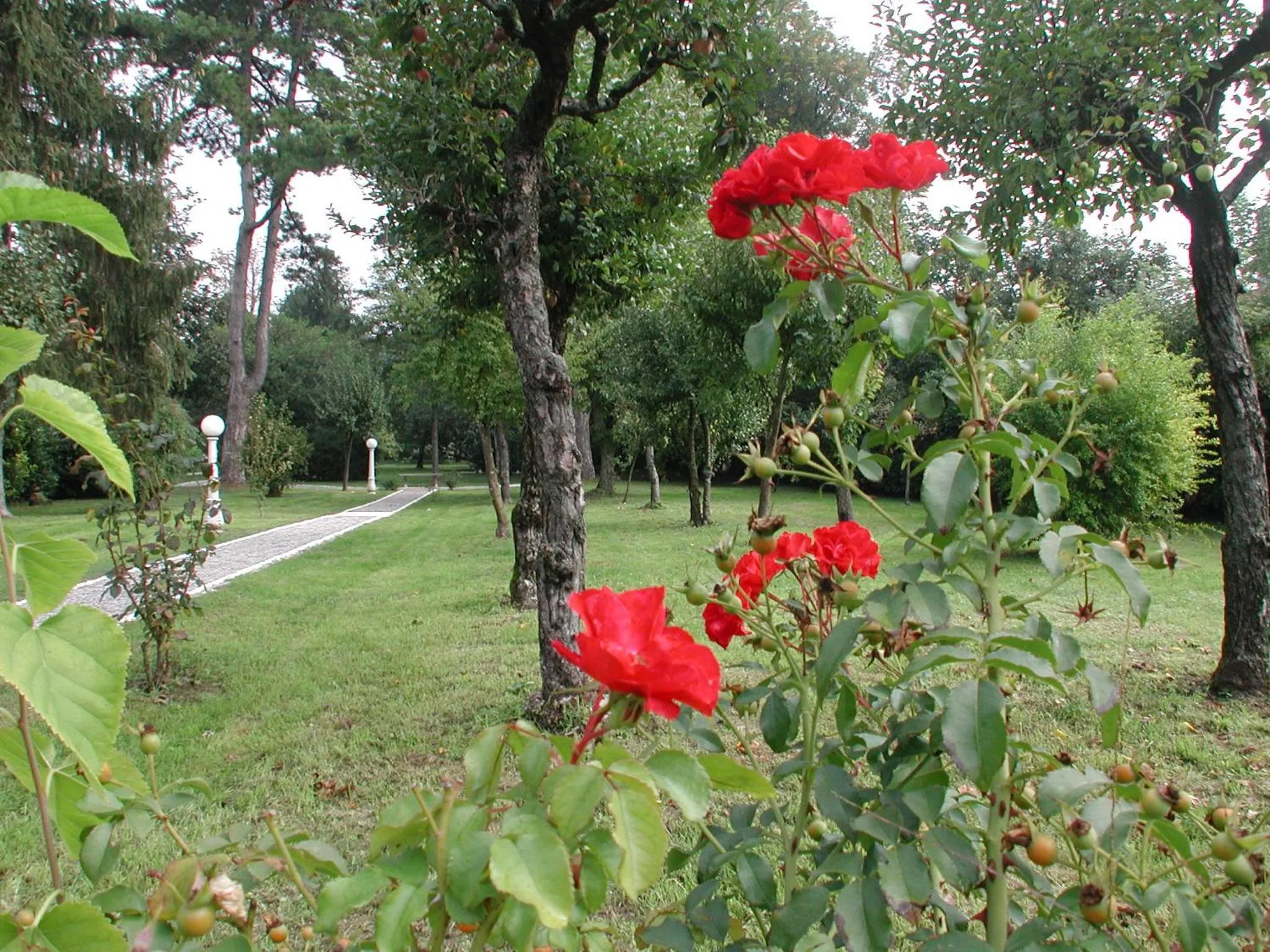 Garden view in B&b Villa Bornancini