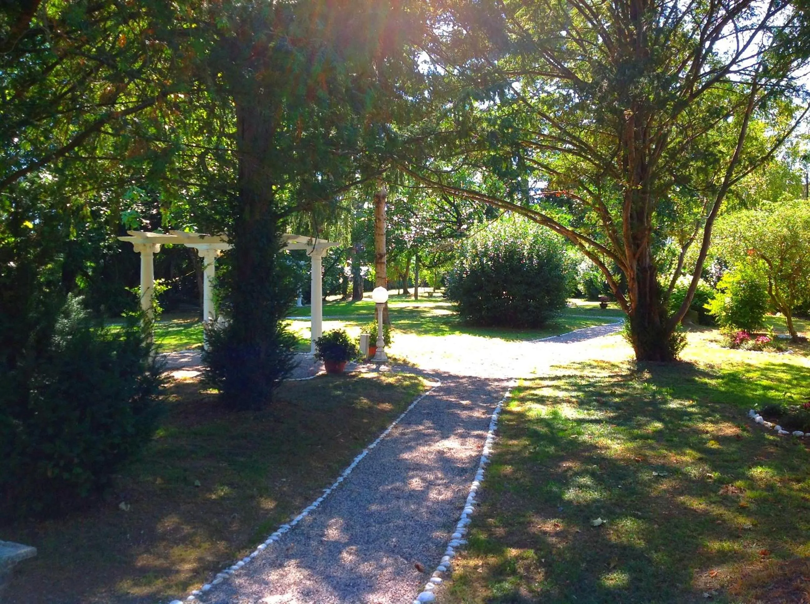 Garden in B&b Villa Bornancini