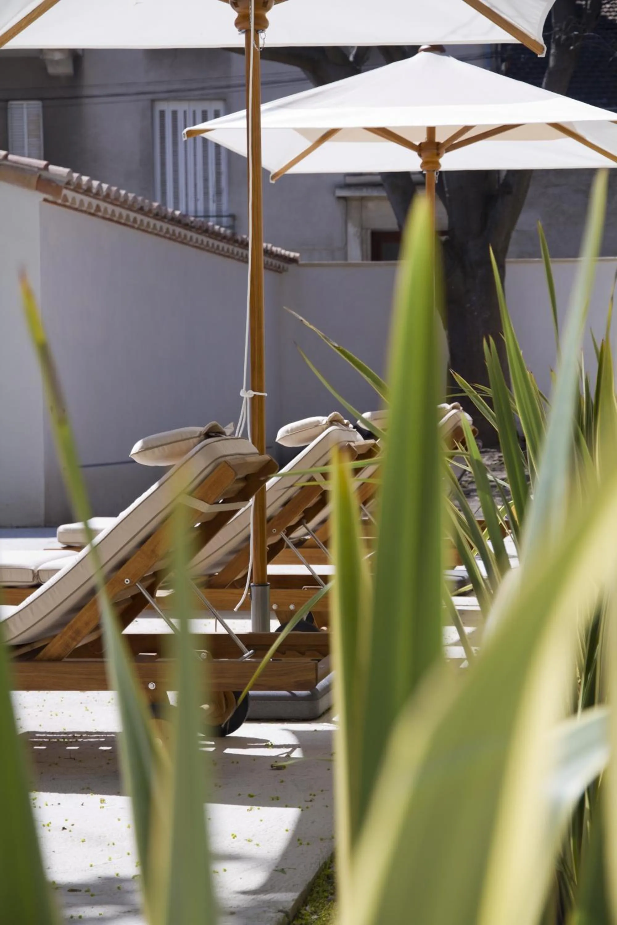 Spring in Villa Meridia