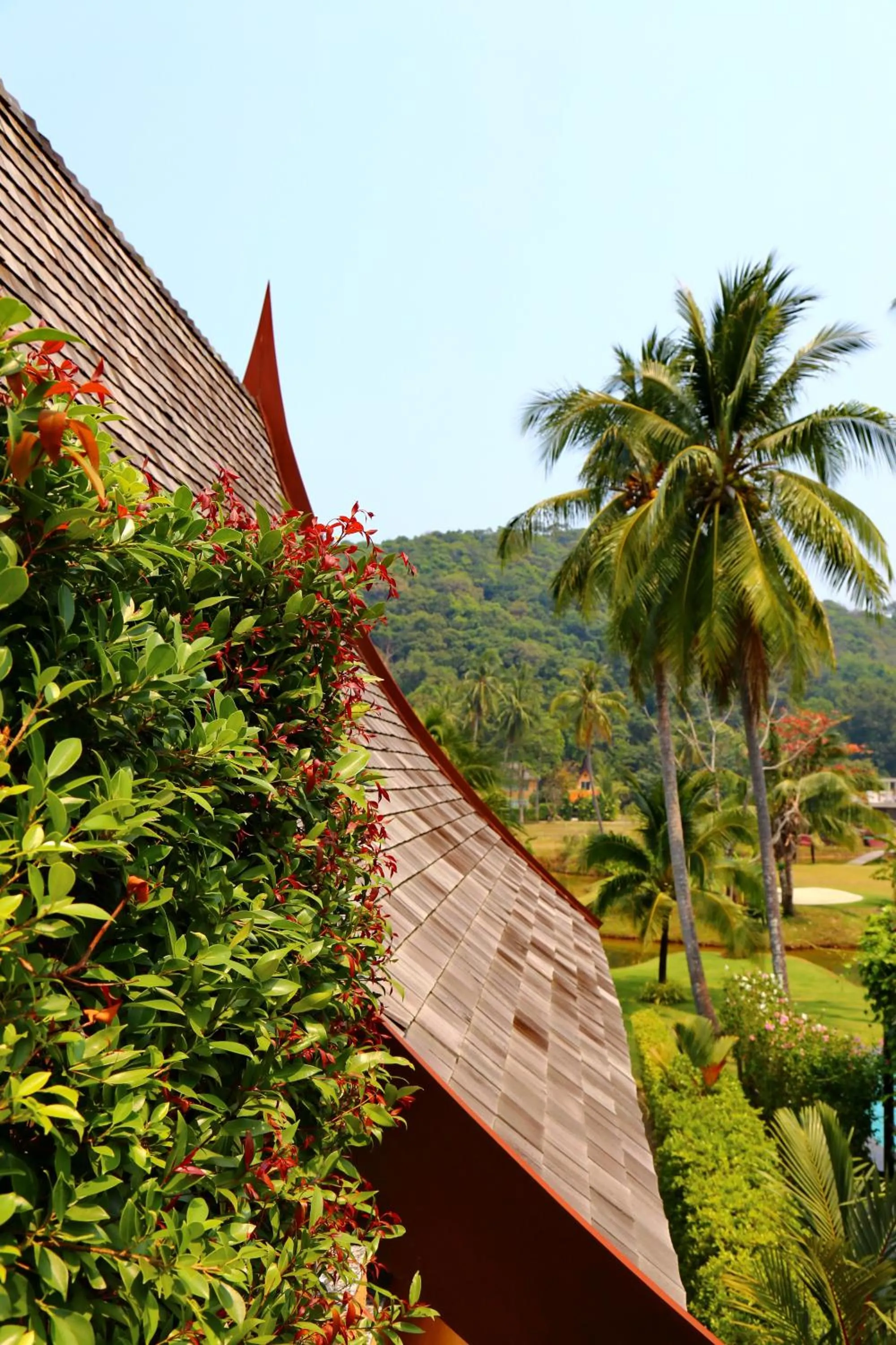 Natural landscape in Koh Chang Beach Villas