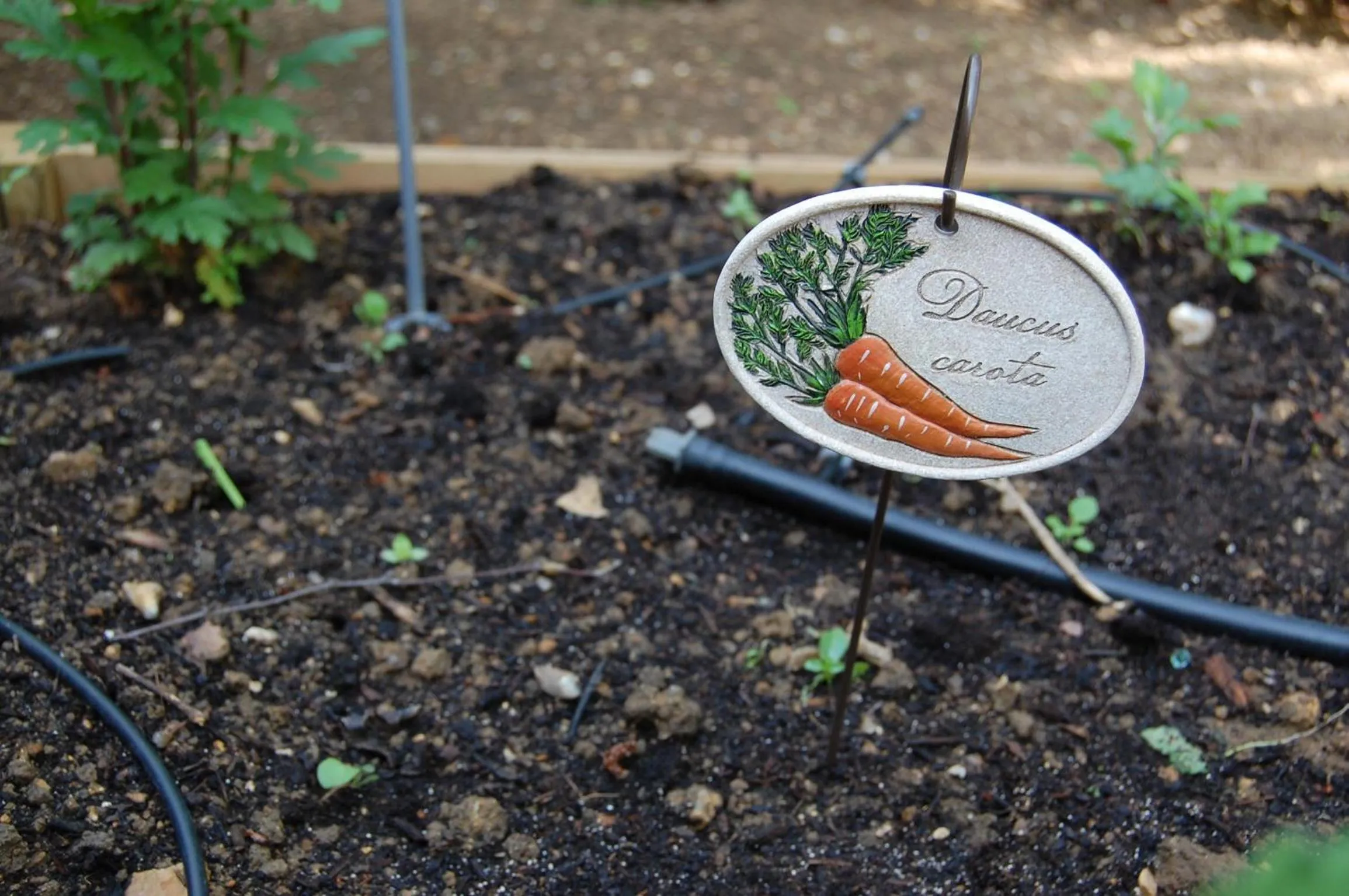 Spring in Couette Et Cafe Crème