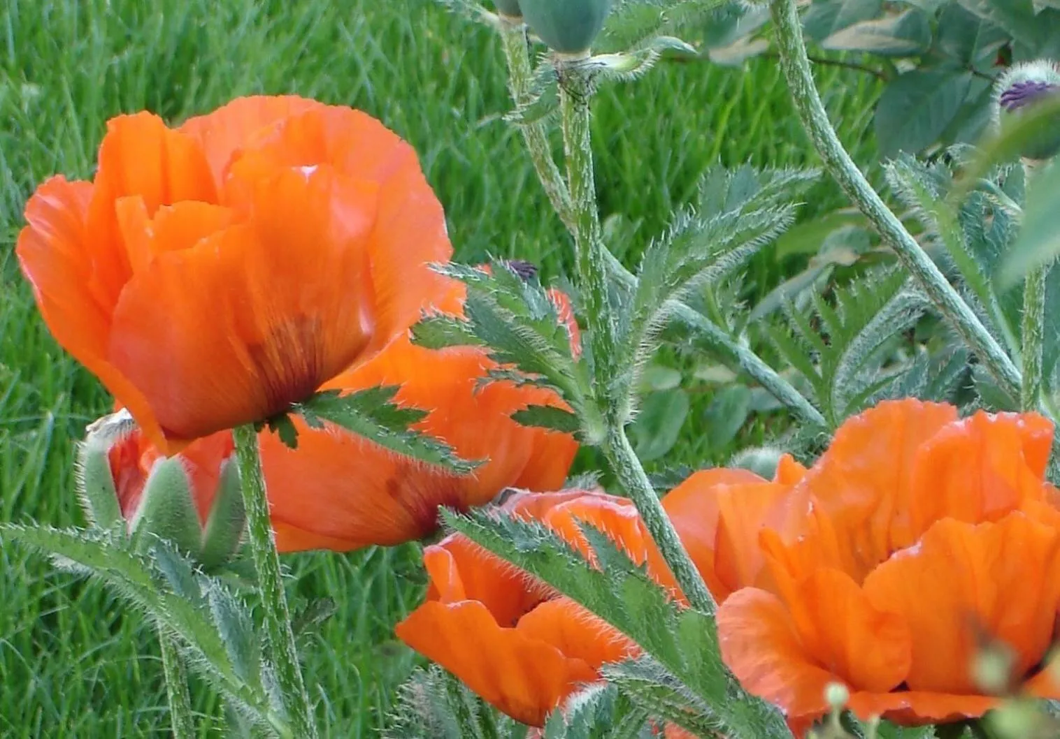 Spring in Couette Et Cafe Crème