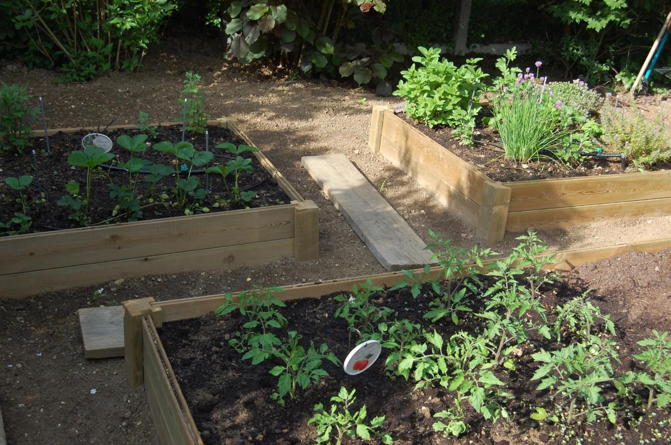 Spring in Couette Et Cafe Crème