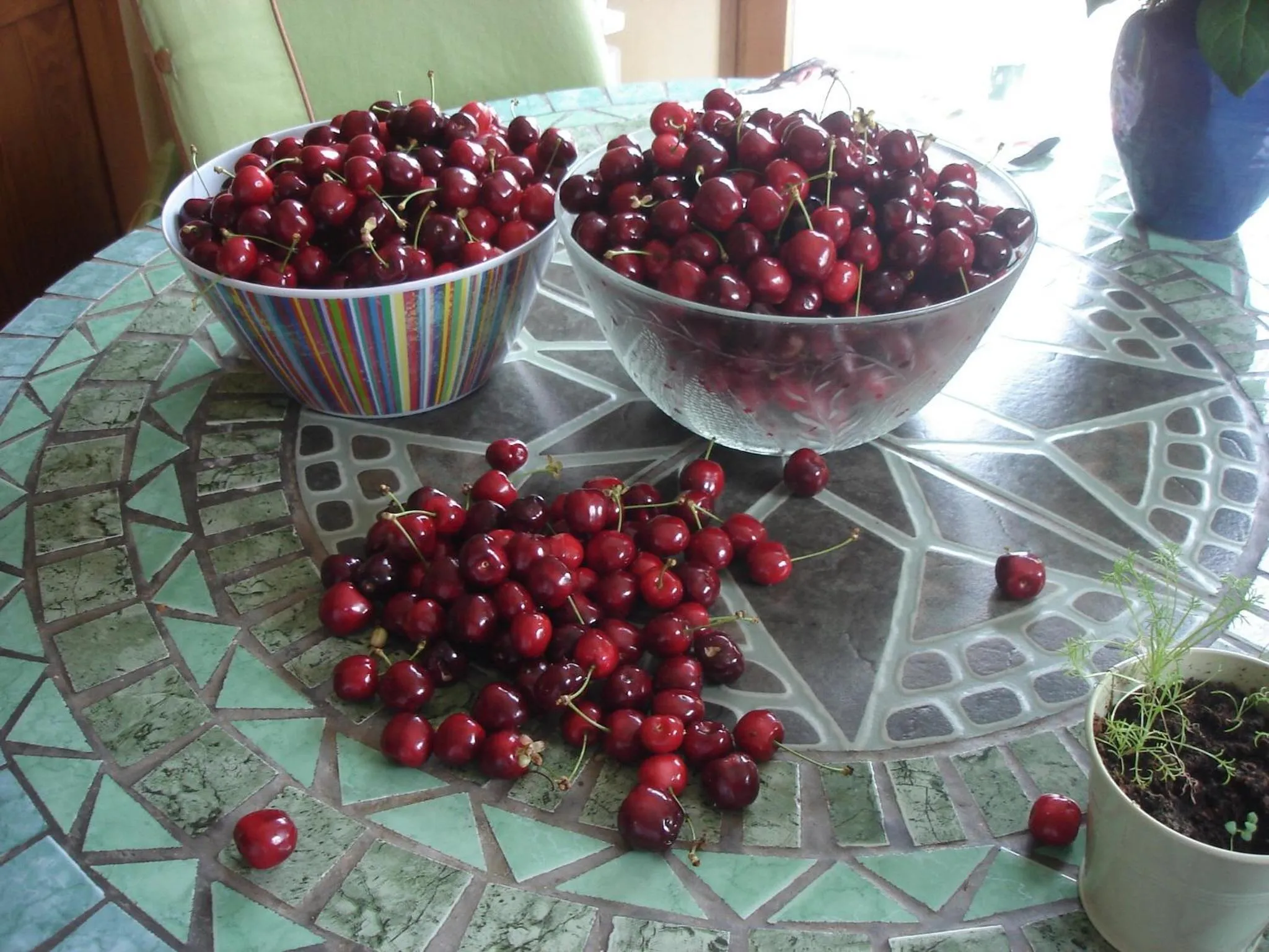 Spring in Couette Et Cafe Crème