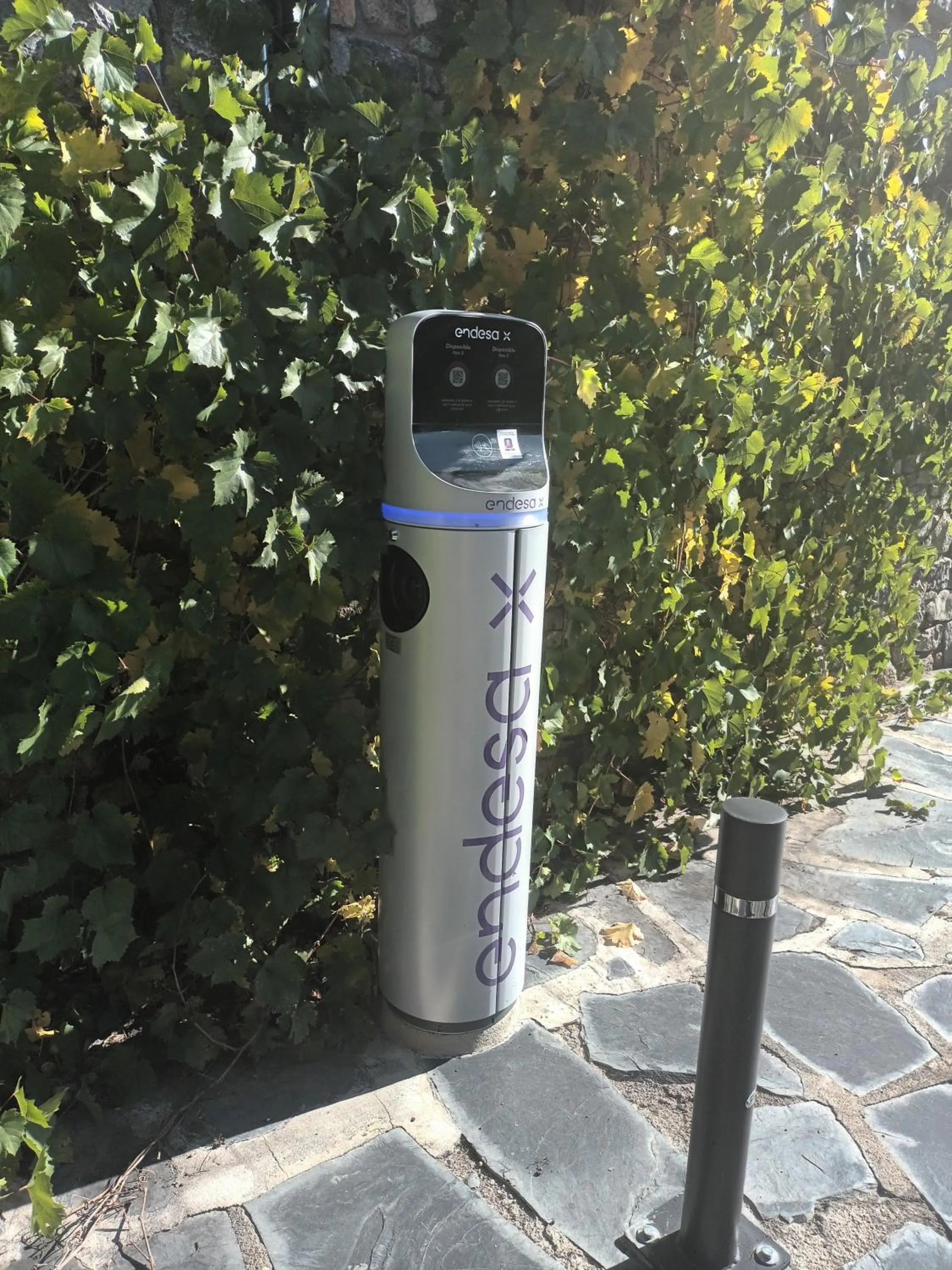 Day in Aparthotel Bellver