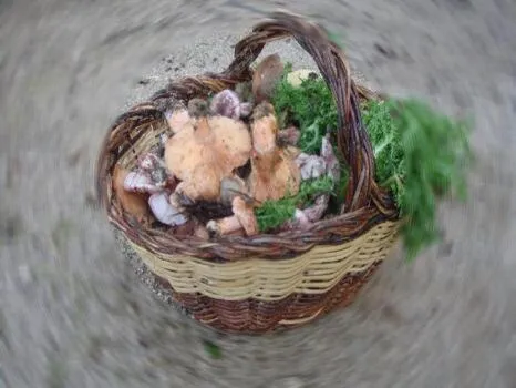 Food and drinks in Hotel Hipic