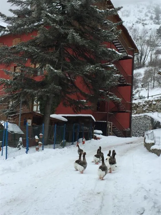 Property building in Hotel Hipic