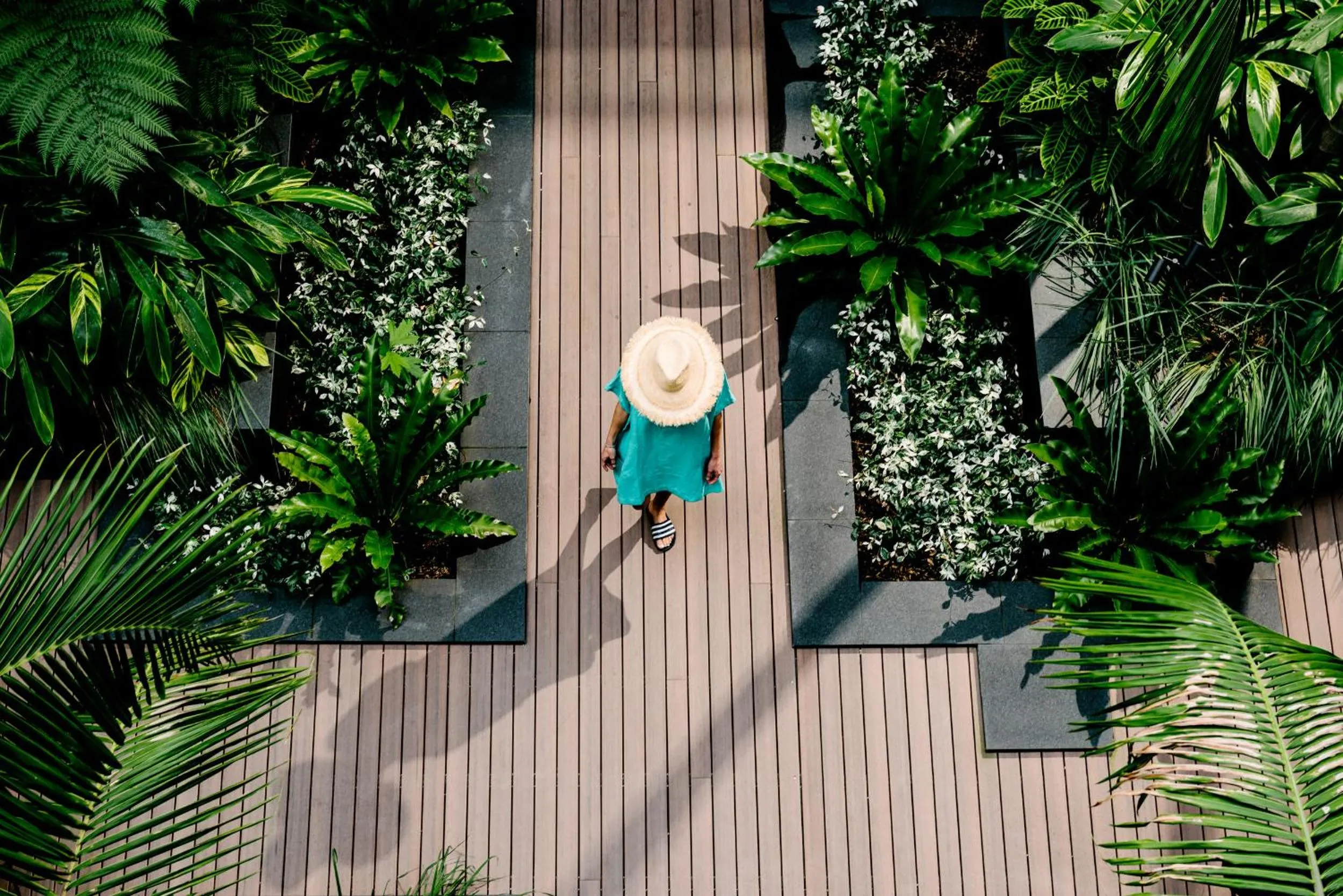 Bird's eye view in Veriu Camperdown