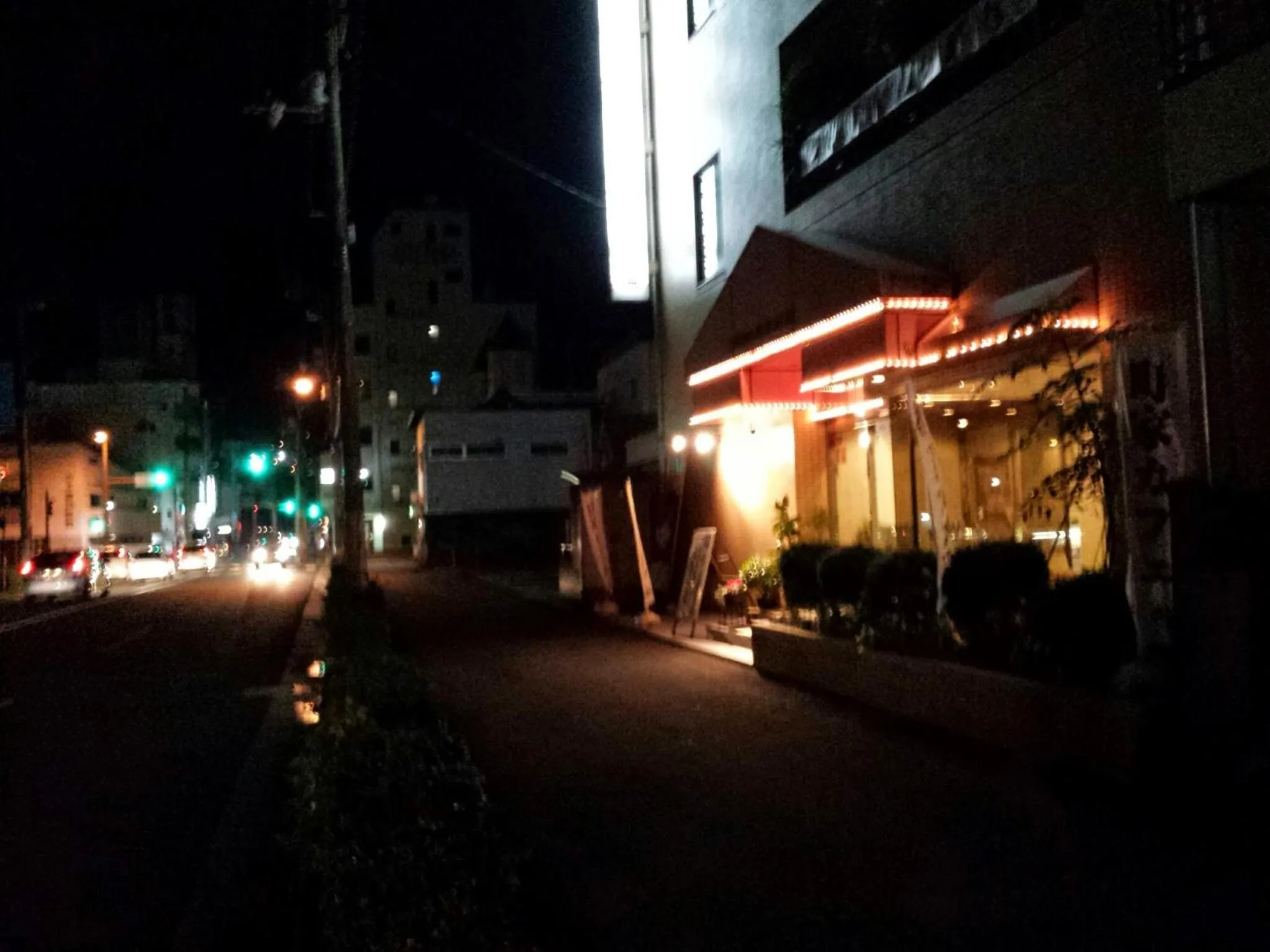 Night in Uwajima Regent Hotel