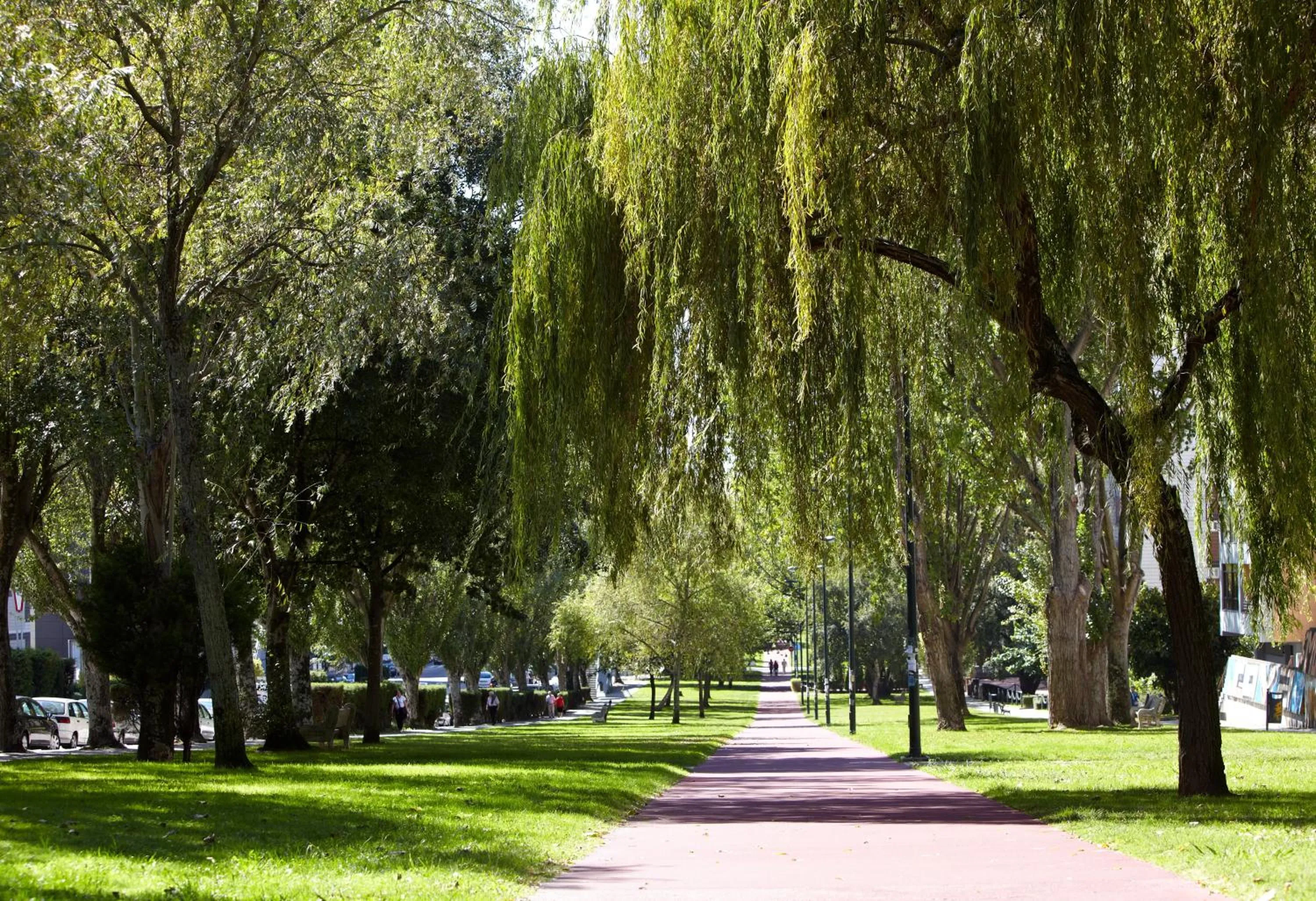 Area and facilities in Hotel Coia de Vigo