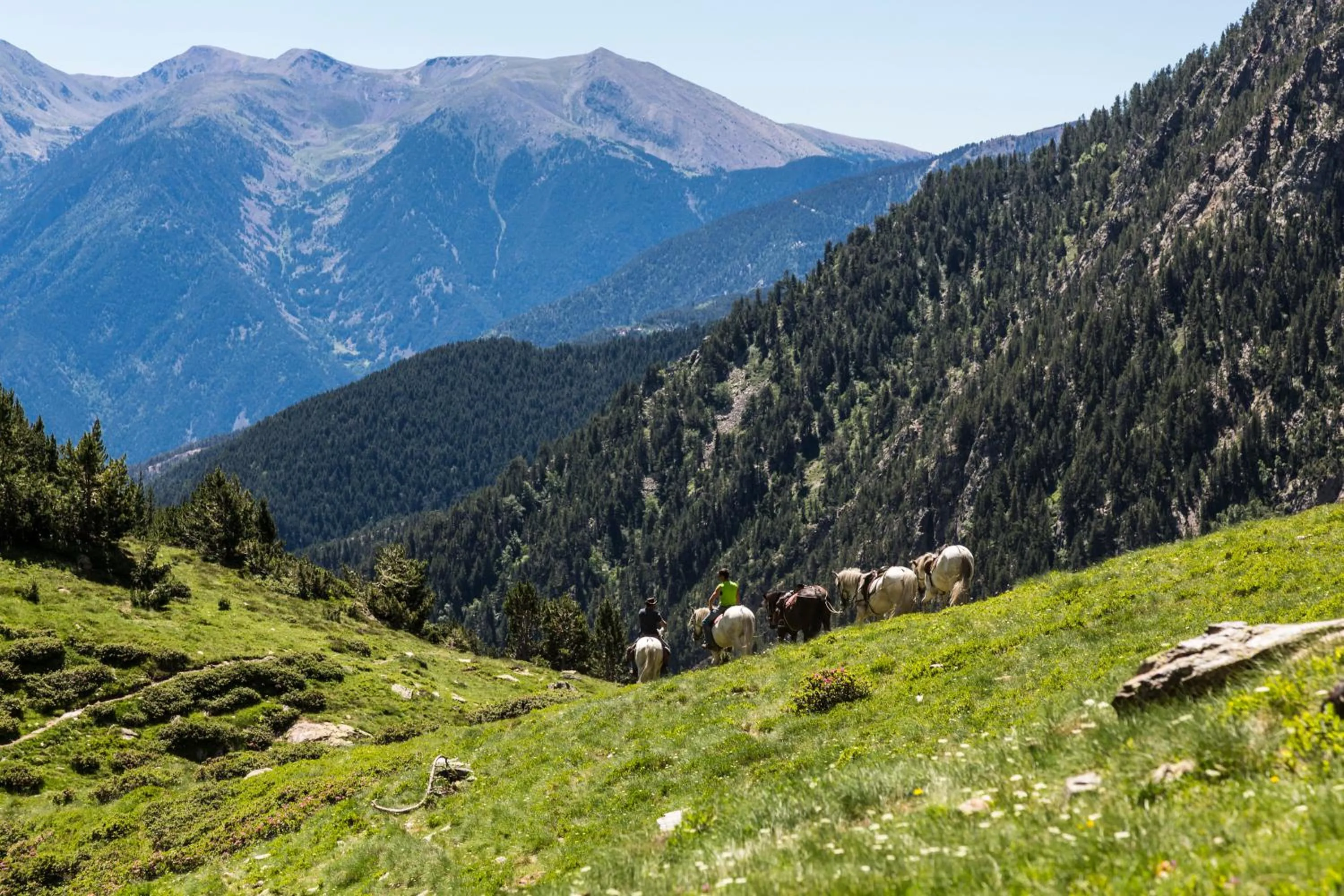 Day in Abba Xalet Suites Hotel