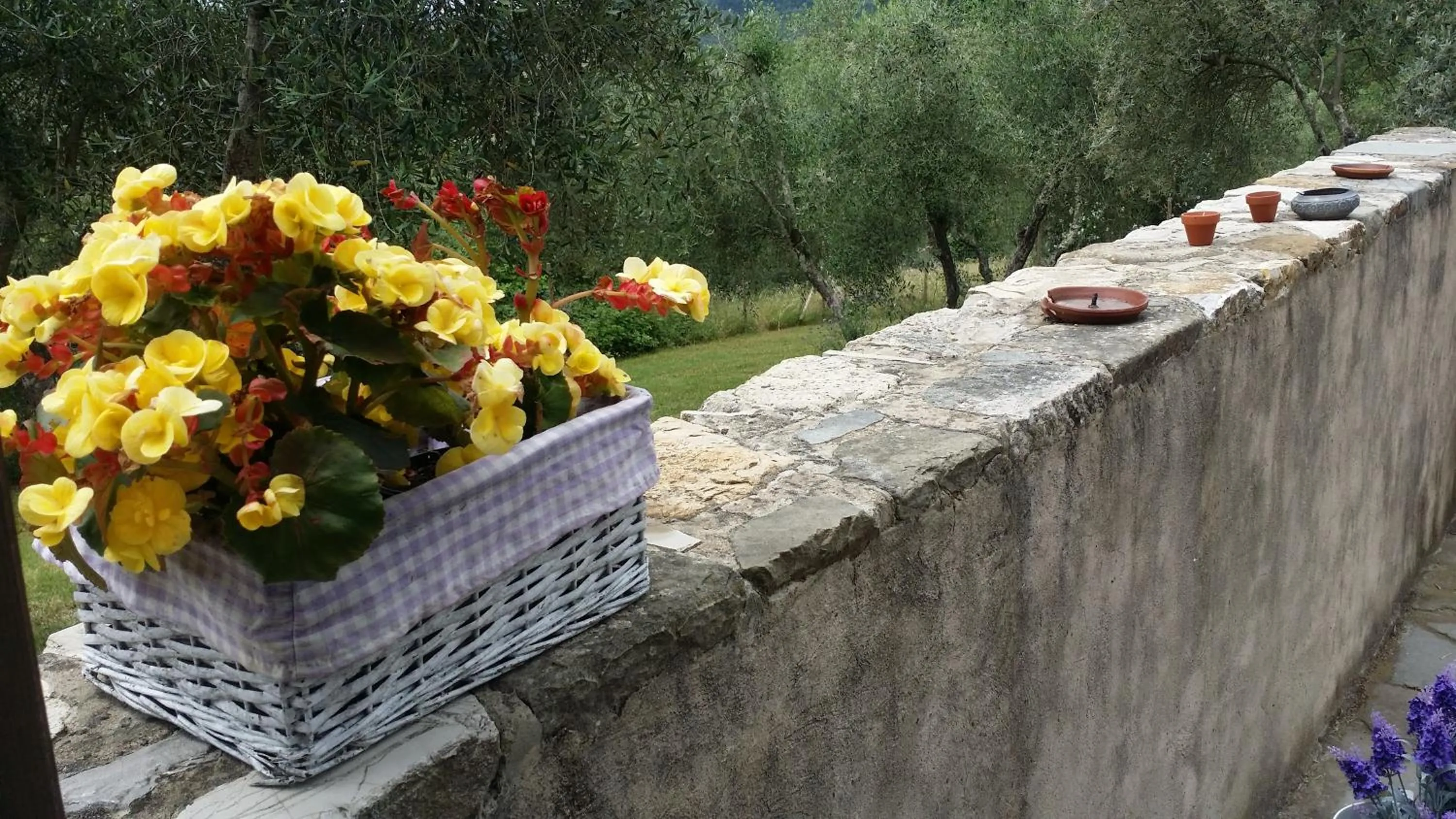 Garden in B&B Le Torri Di Firenze