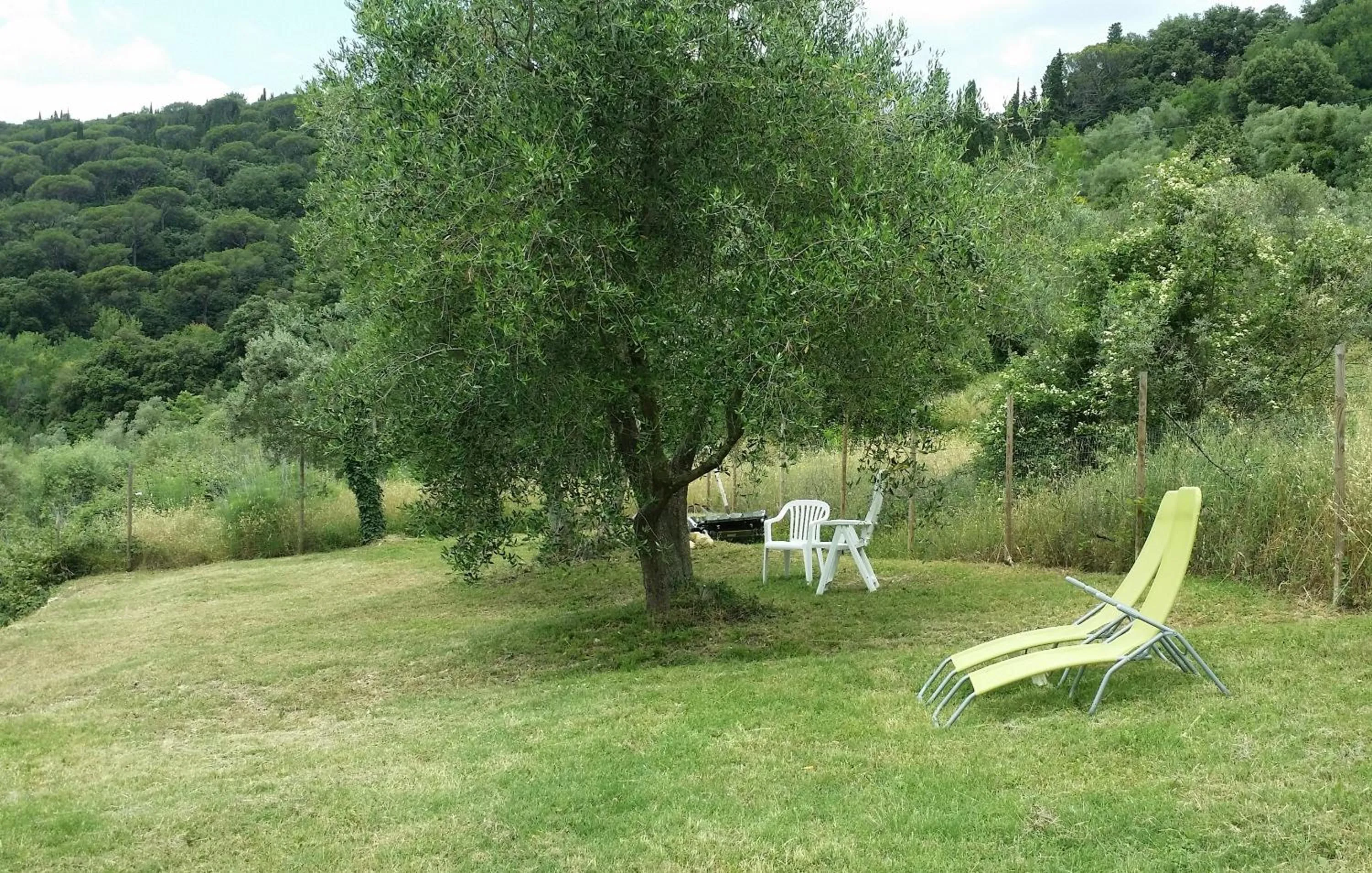 Garden in B&B Le Torri Di Firenze