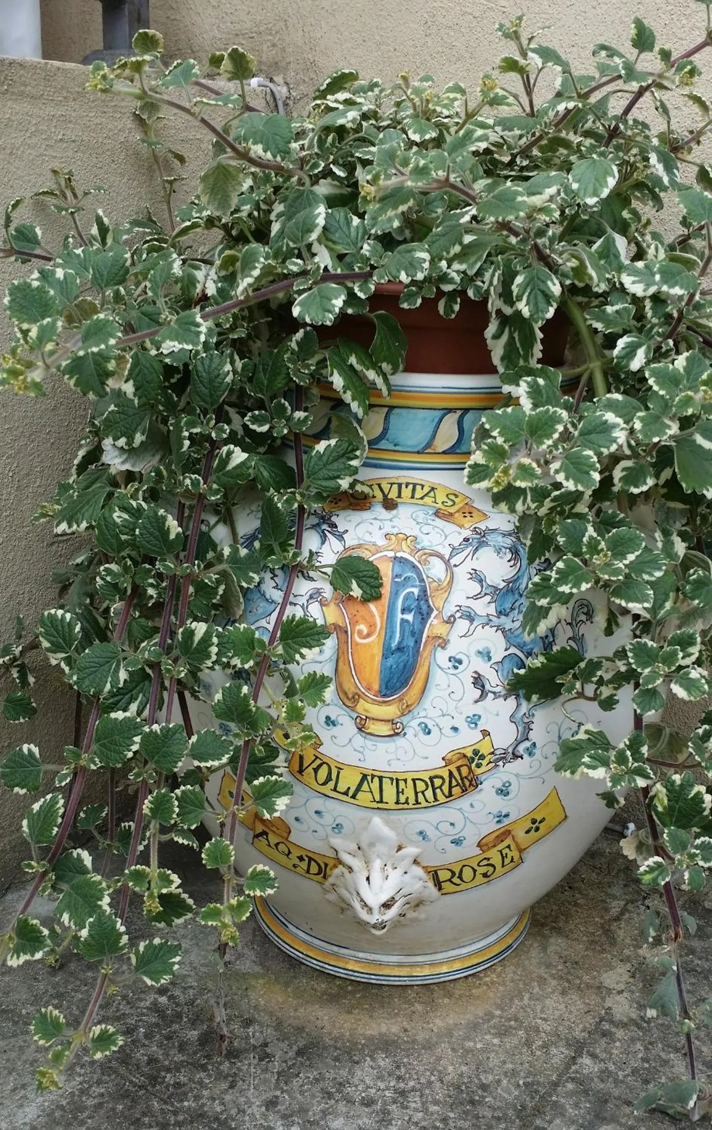 Facade/entrance in B&B Le Torri Di Firenze