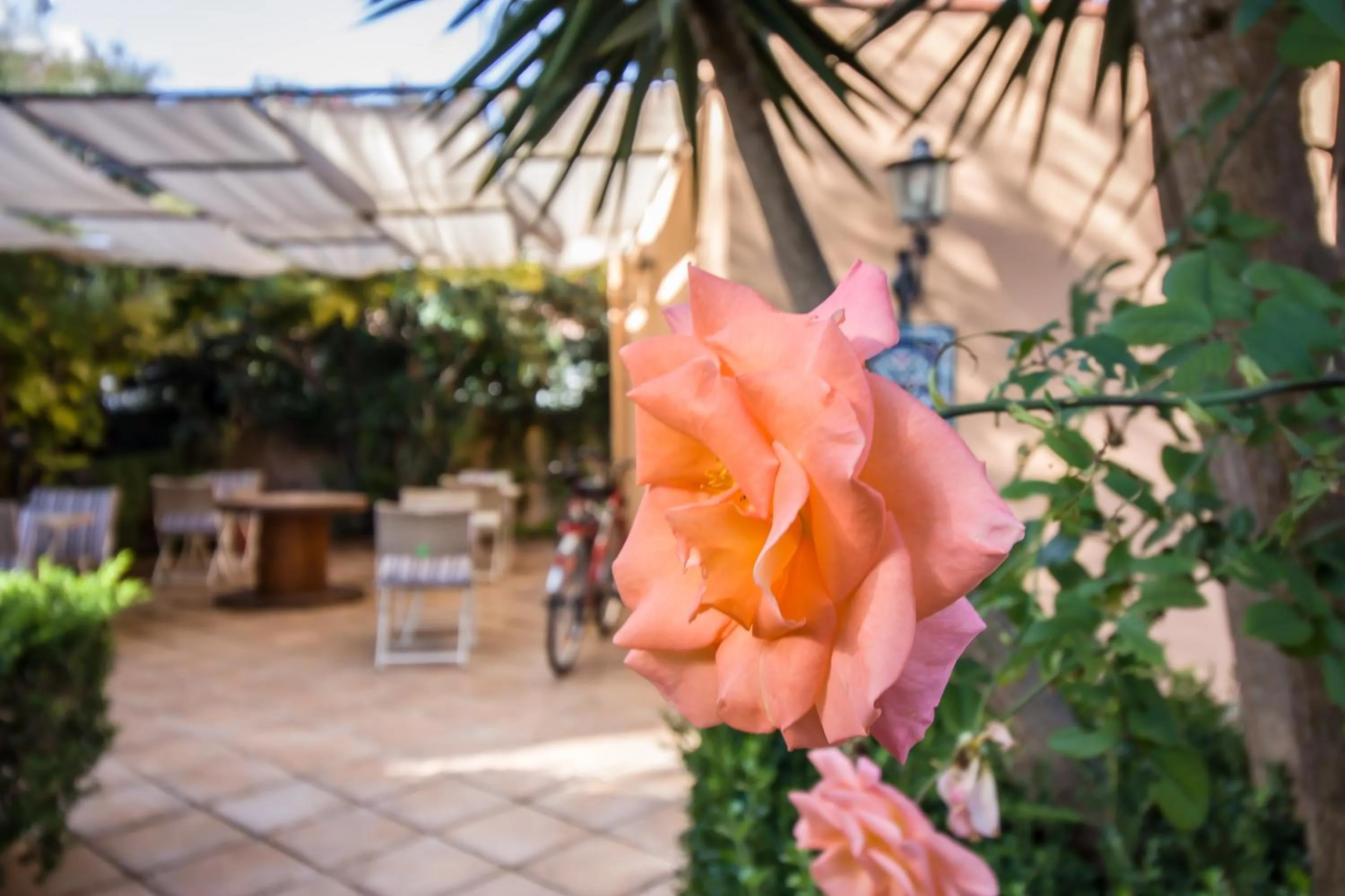 Property building in Le Muse Mondello