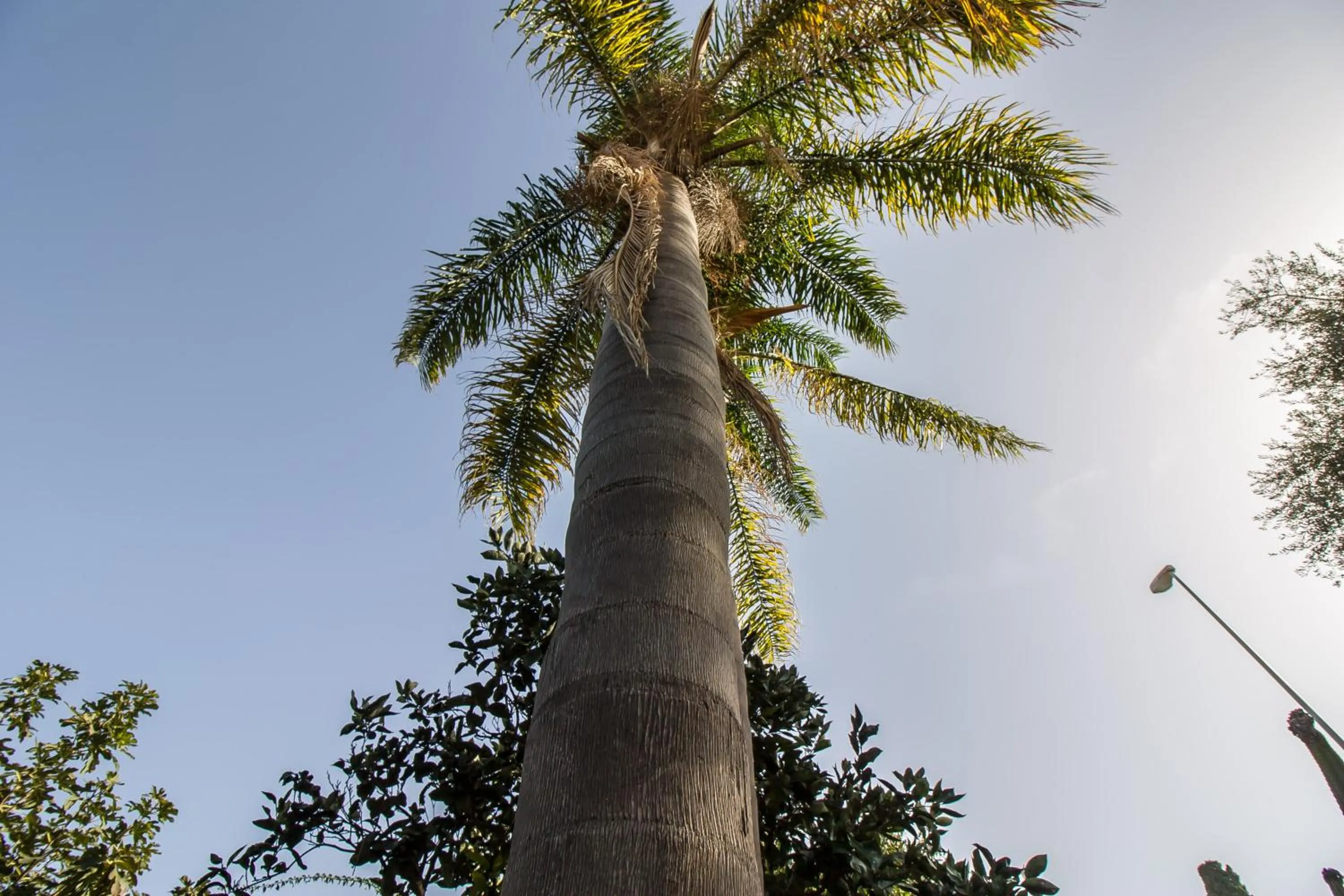 Property building in Le Muse Mondello