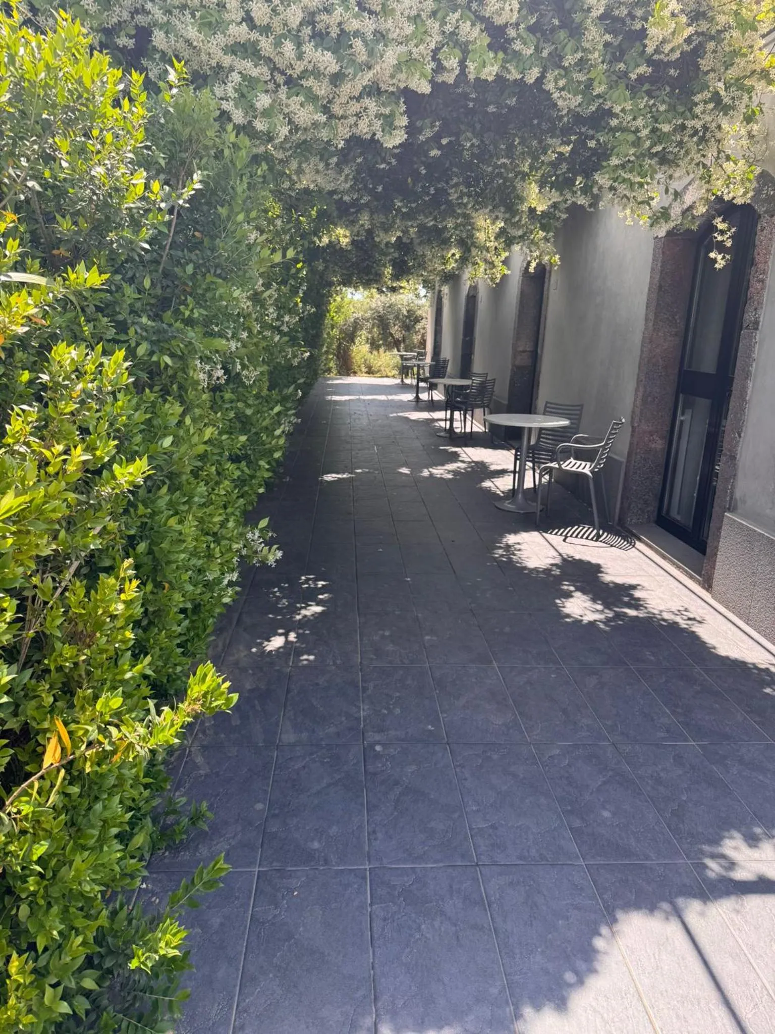 Talè Restaurant & Suite