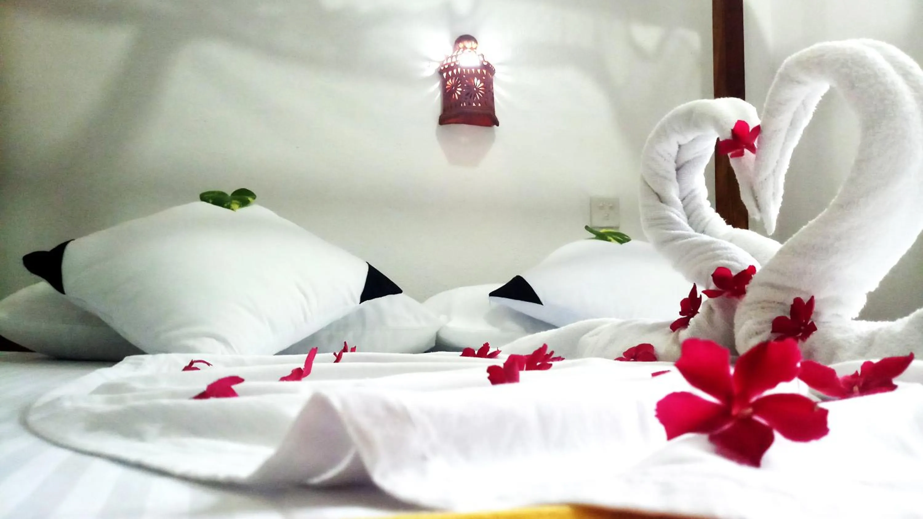 Bed in Eagle Homestay