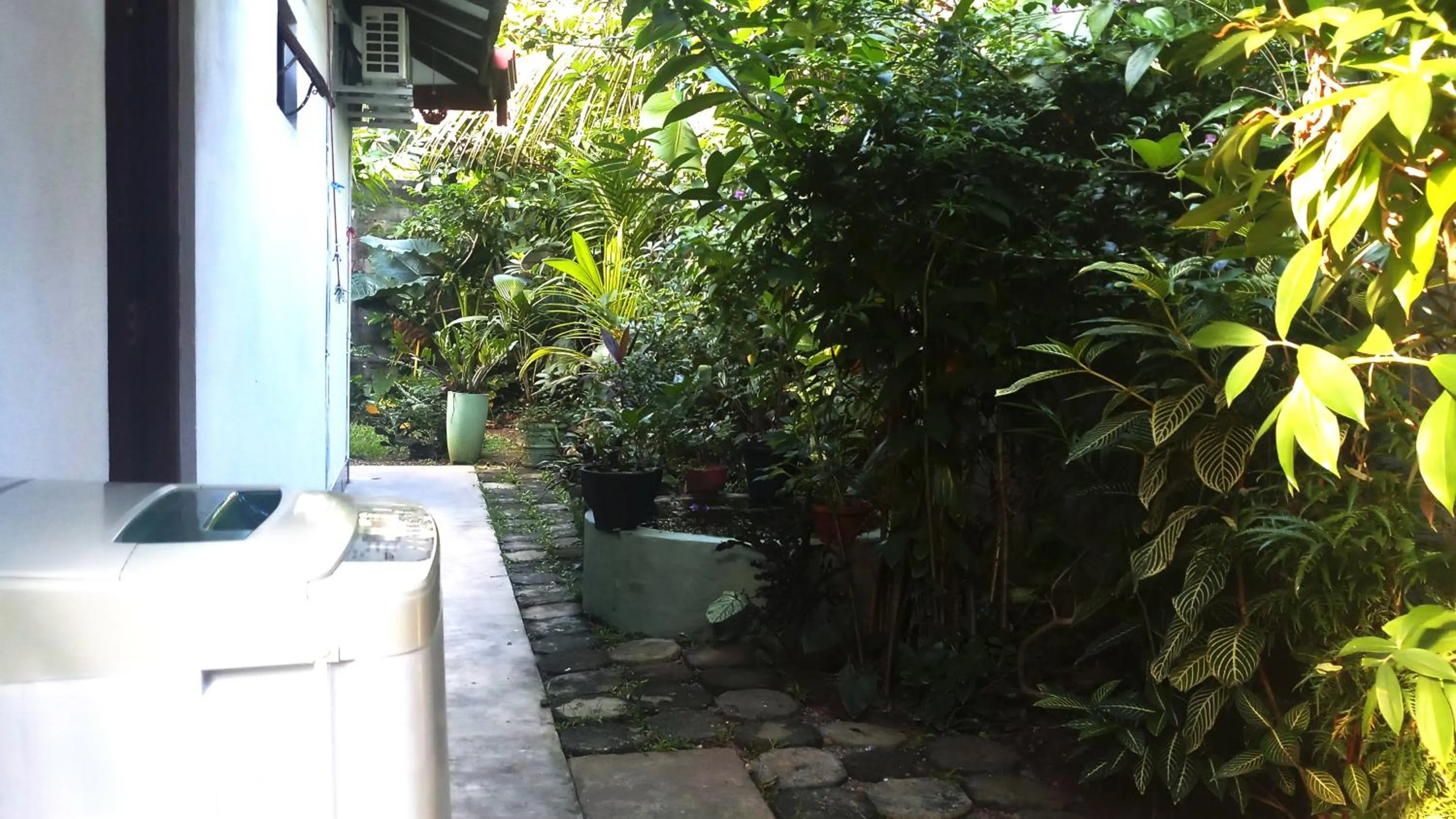 Garden in Eagle Homestay
