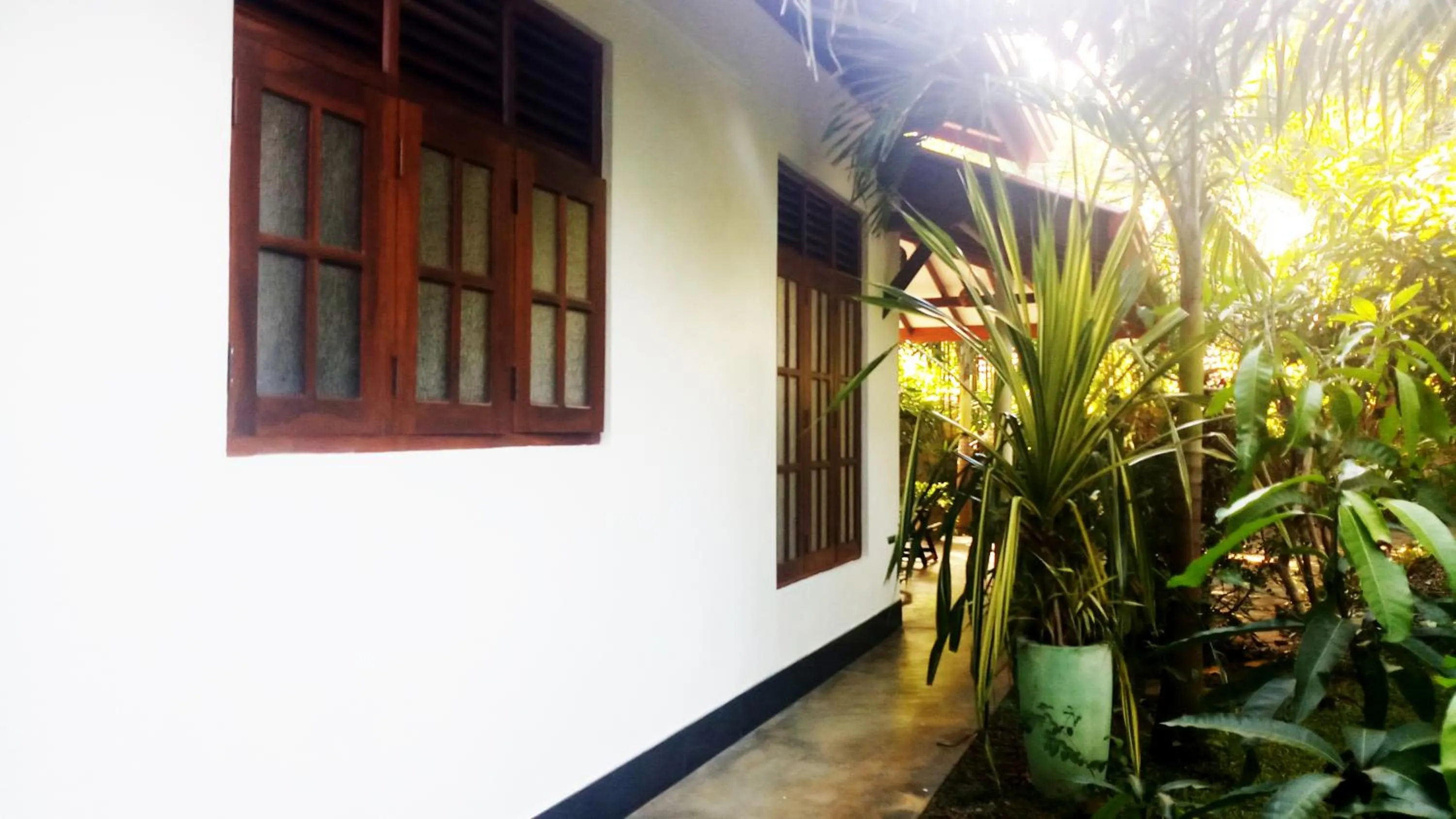 Balcony/Terrace in Eagle Homestay