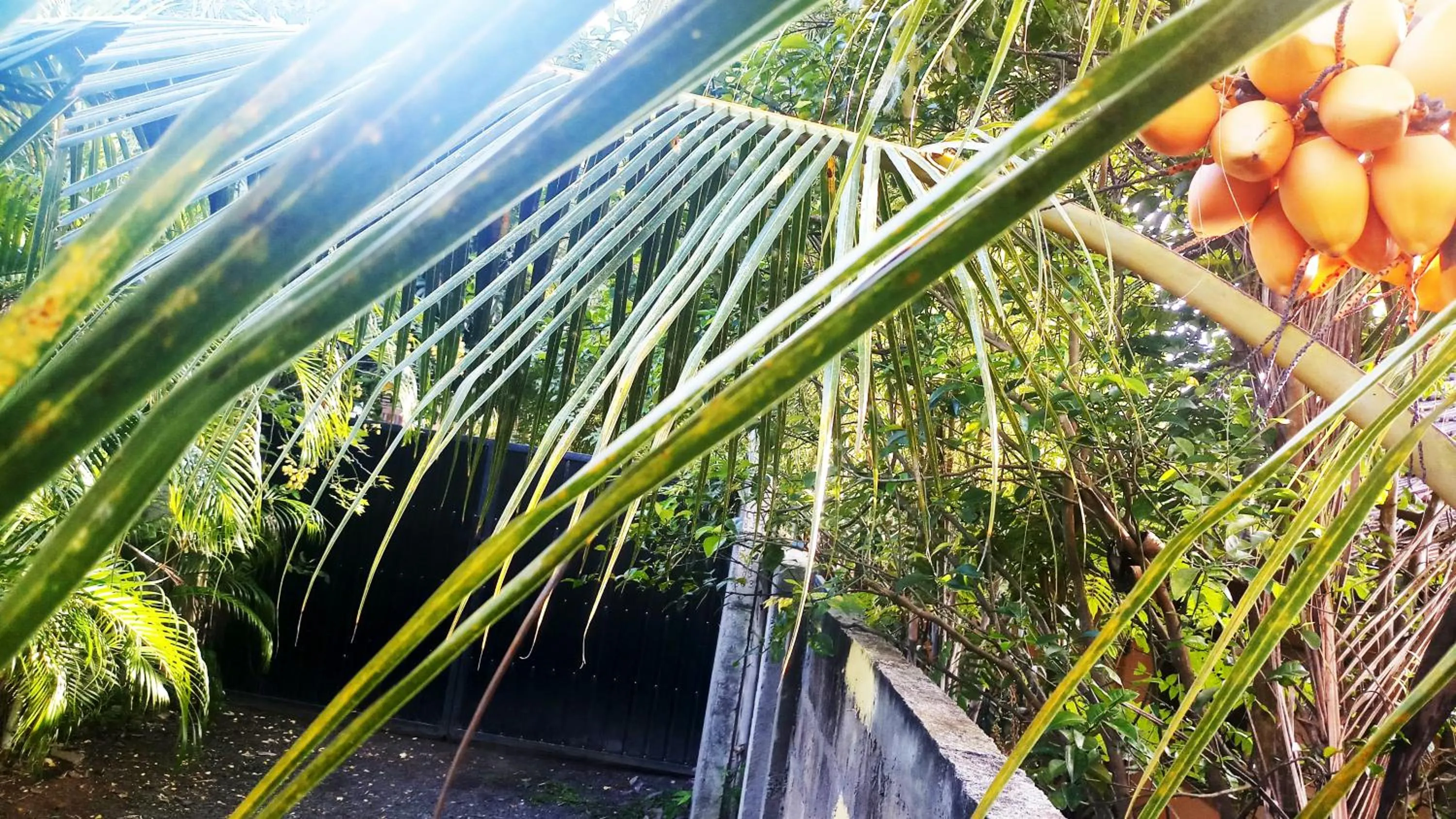 Facade/entrance in Eagle Homestay