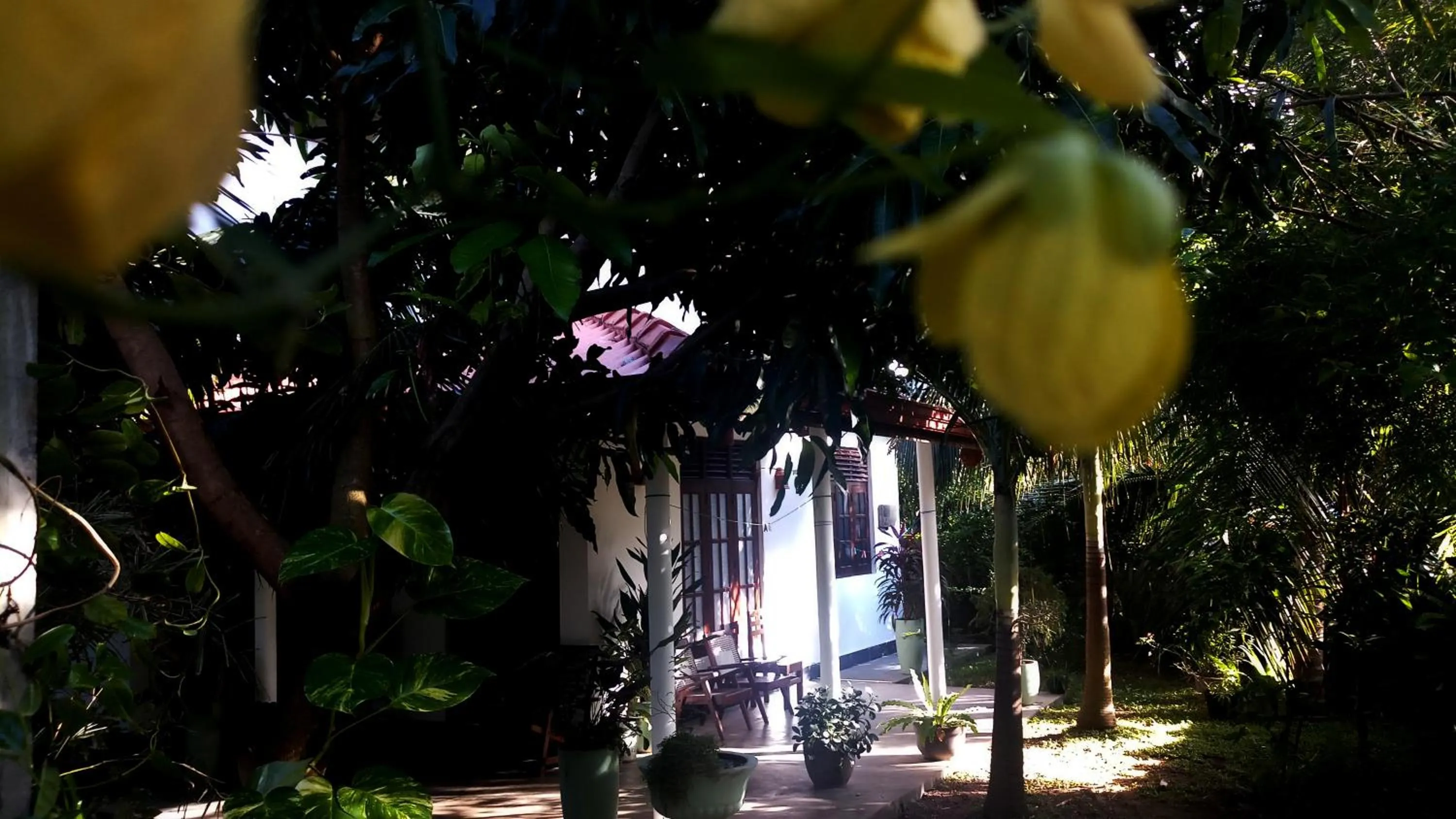 Facade/entrance in Eagle Homestay