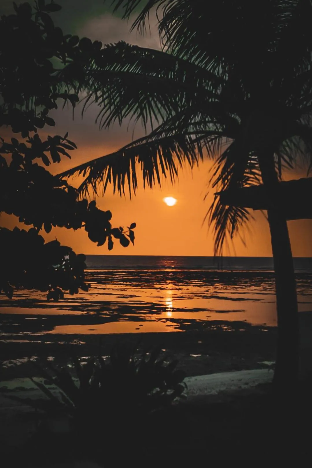 Natural landscape in Sumatra Surf Resort