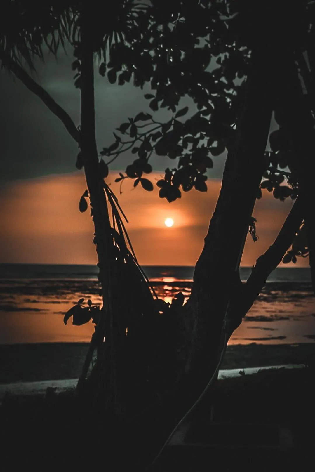 Natural landscape in Sumatra Surf Resort