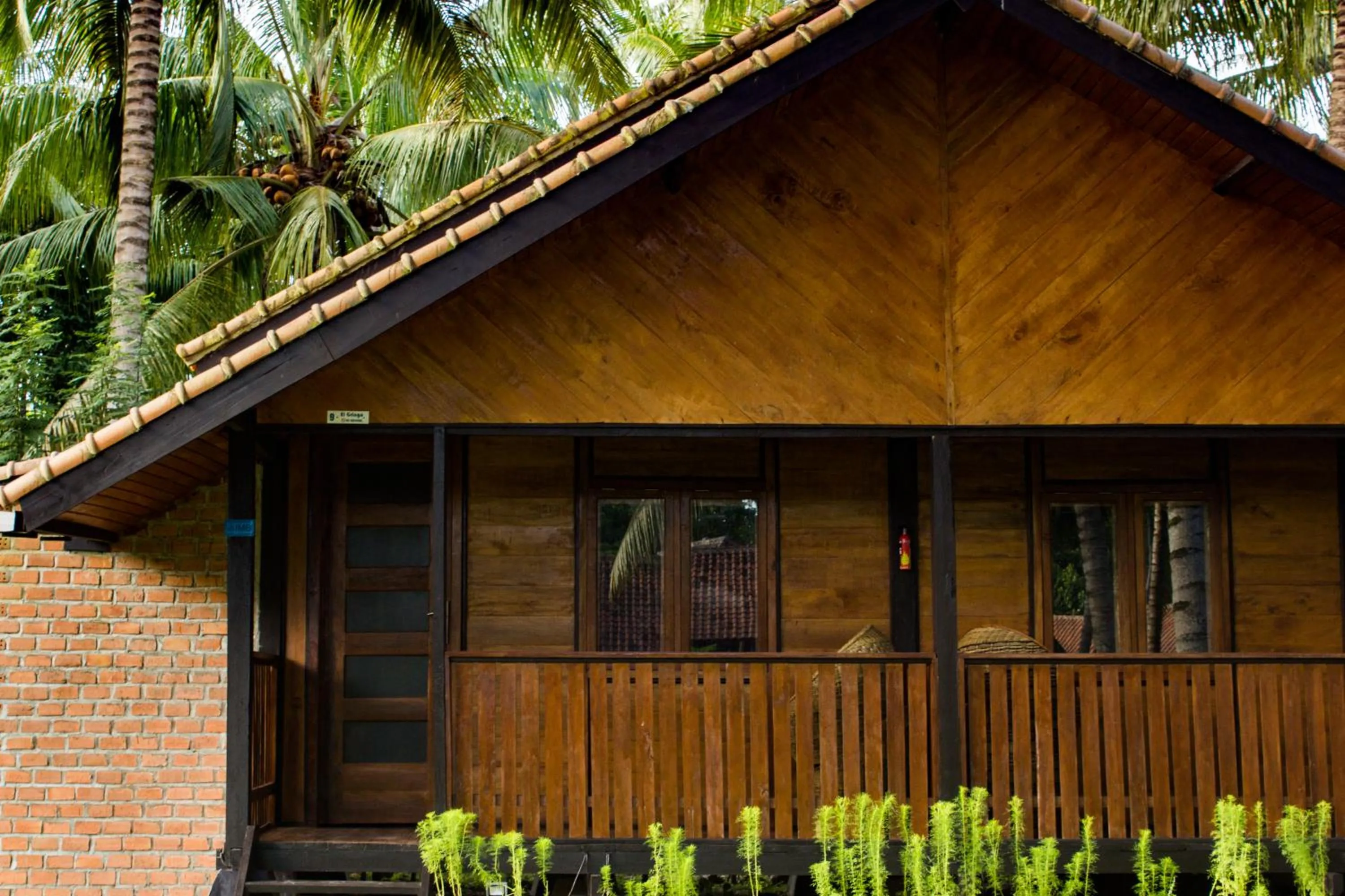 Property building in Sumatra Surf Resort