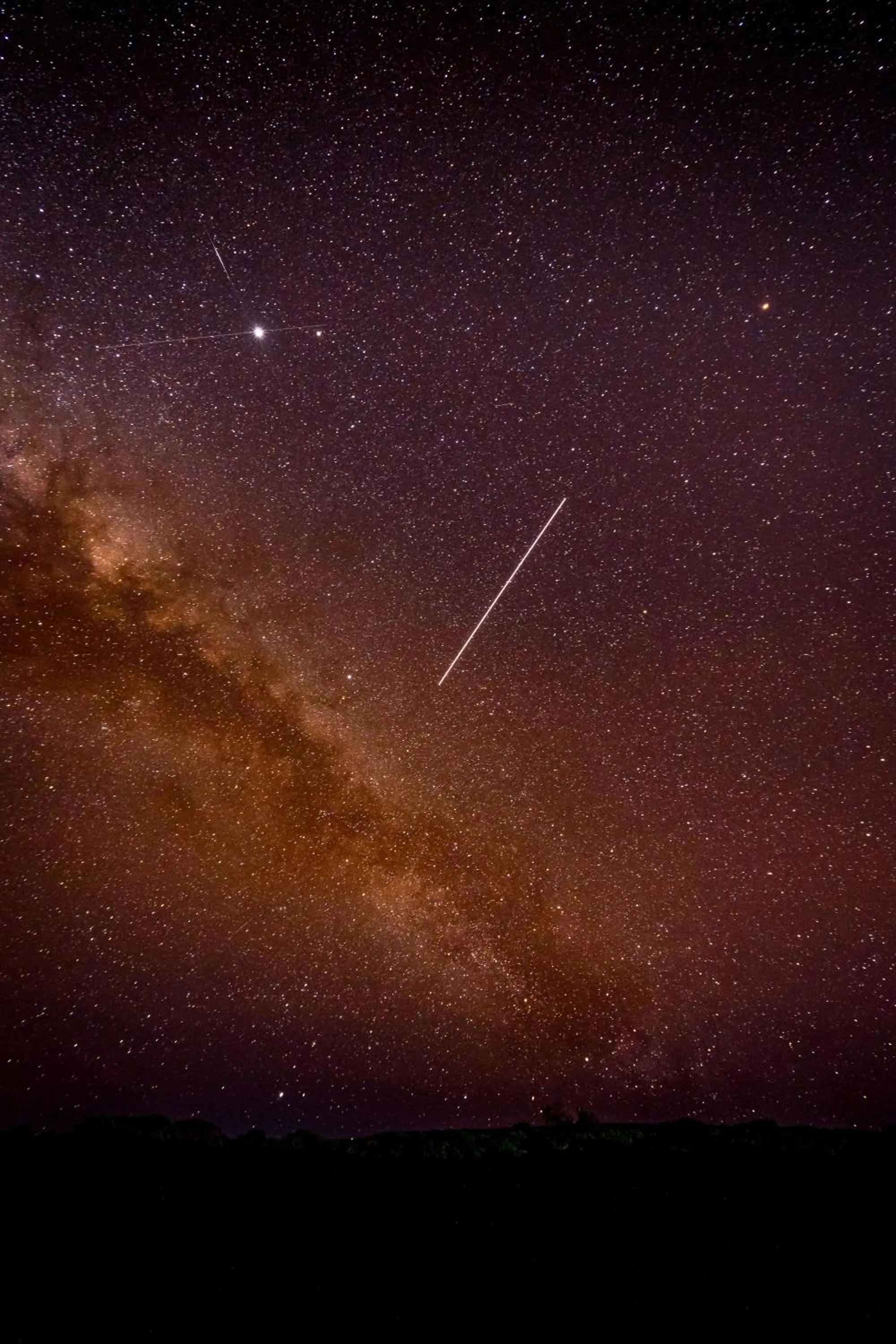 Night in Gourikwa Coastal Nature Reserve