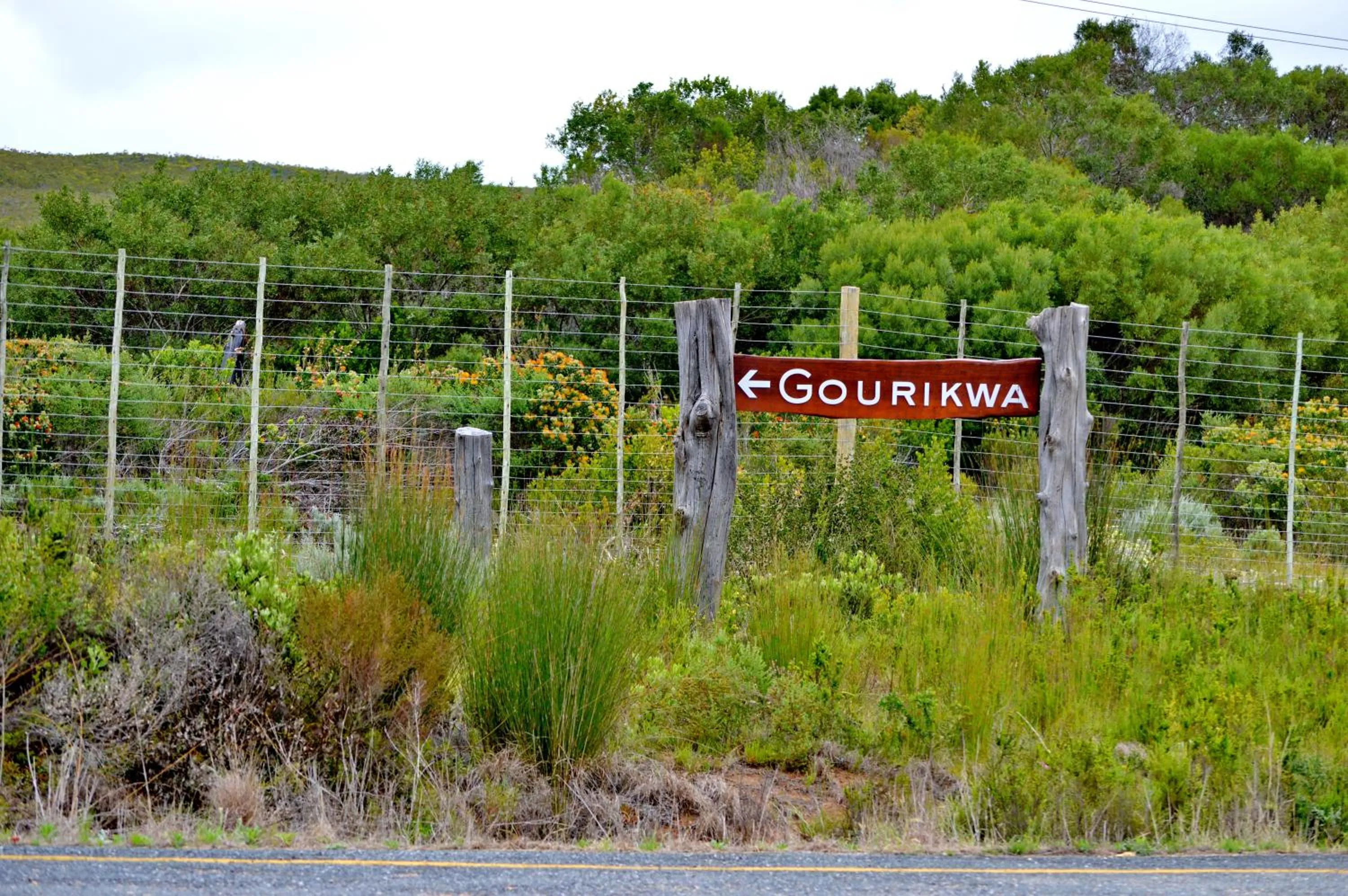 Property logo or sign in Gourikwa Coastal Nature Reserve