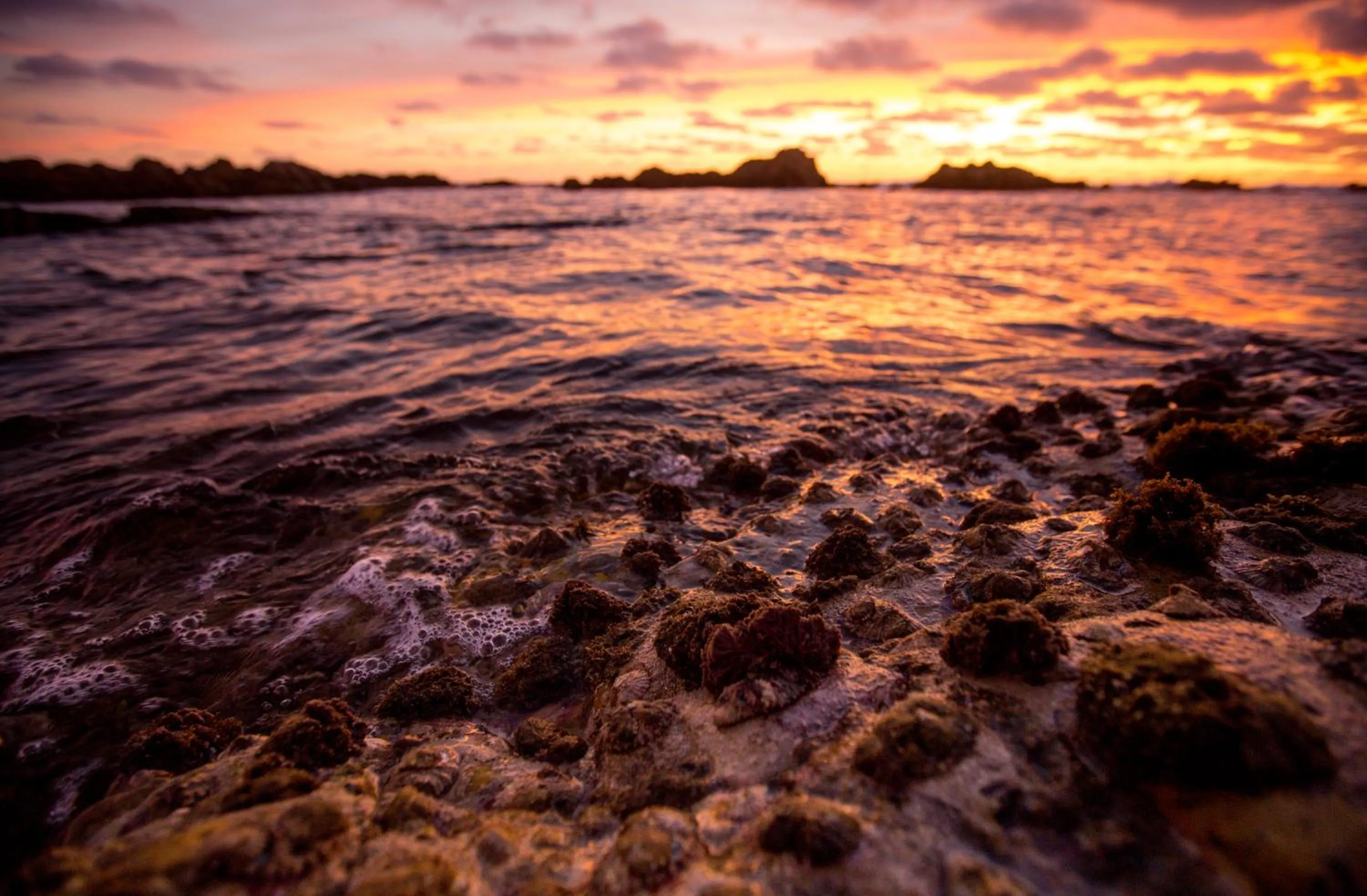 Natural landscape in Gourikwa Coastal Nature Reserve