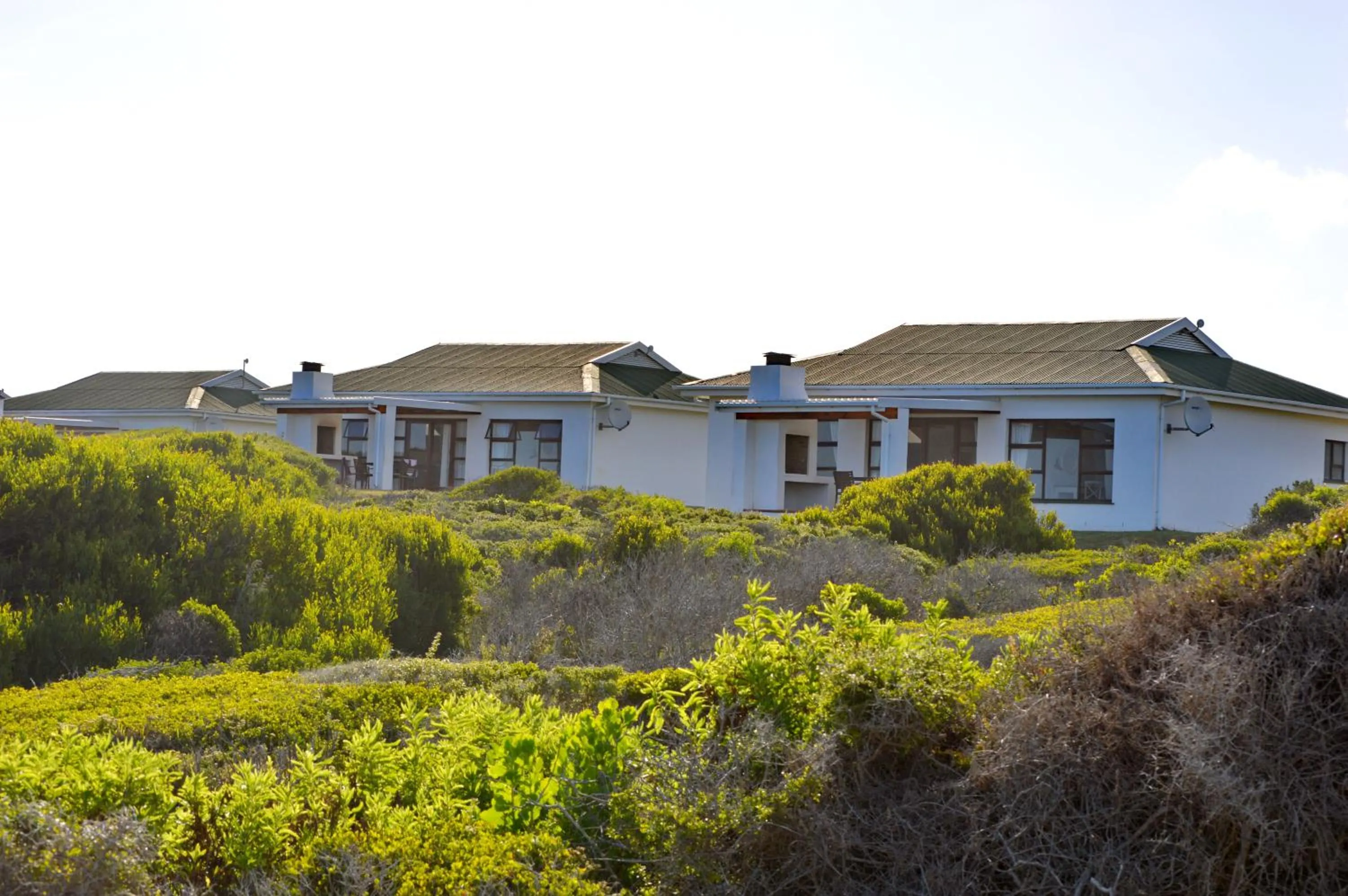 Garden view in Gourikwa Coastal Nature Reserve