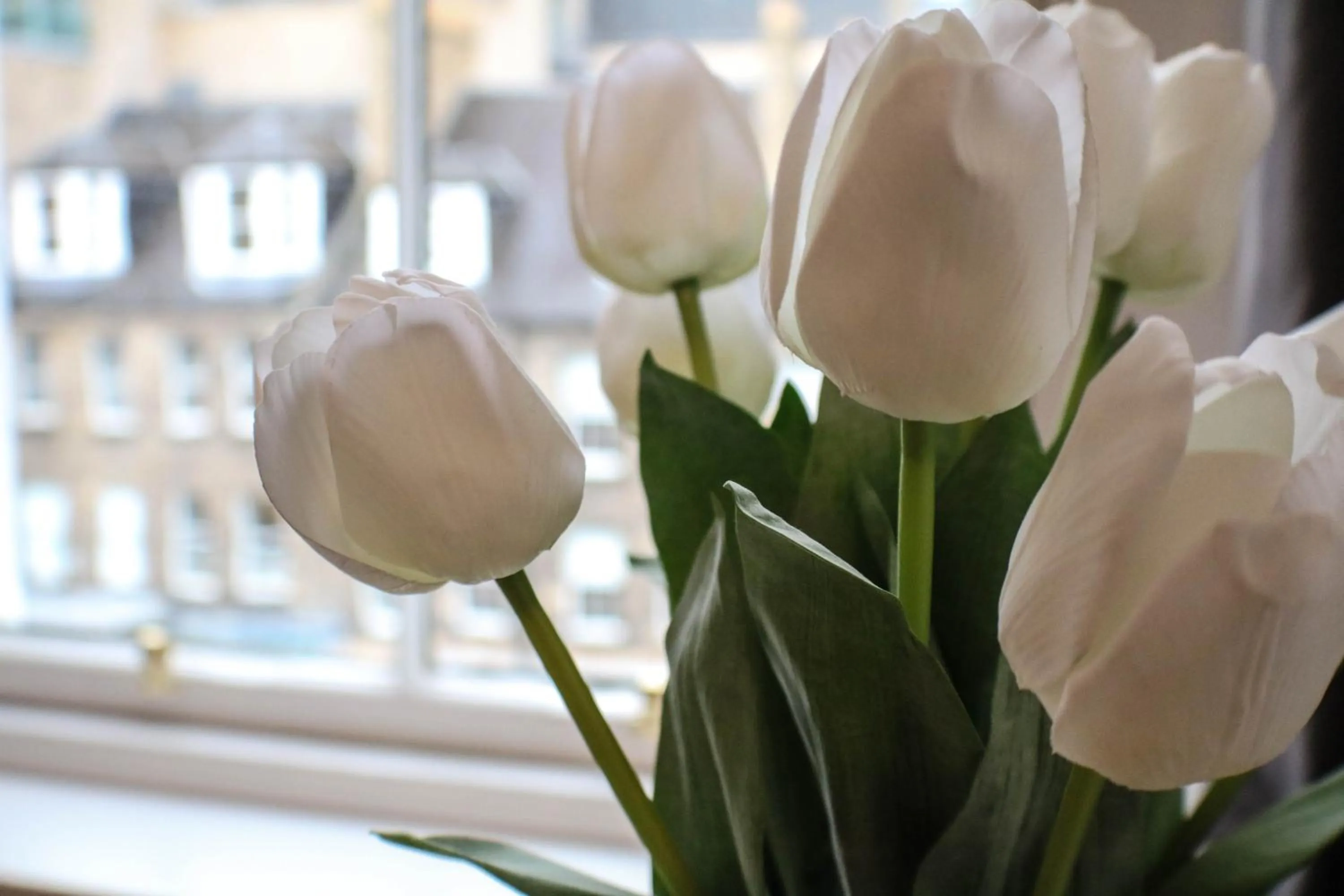Decorative detail in Edinburgh Castle Apartments