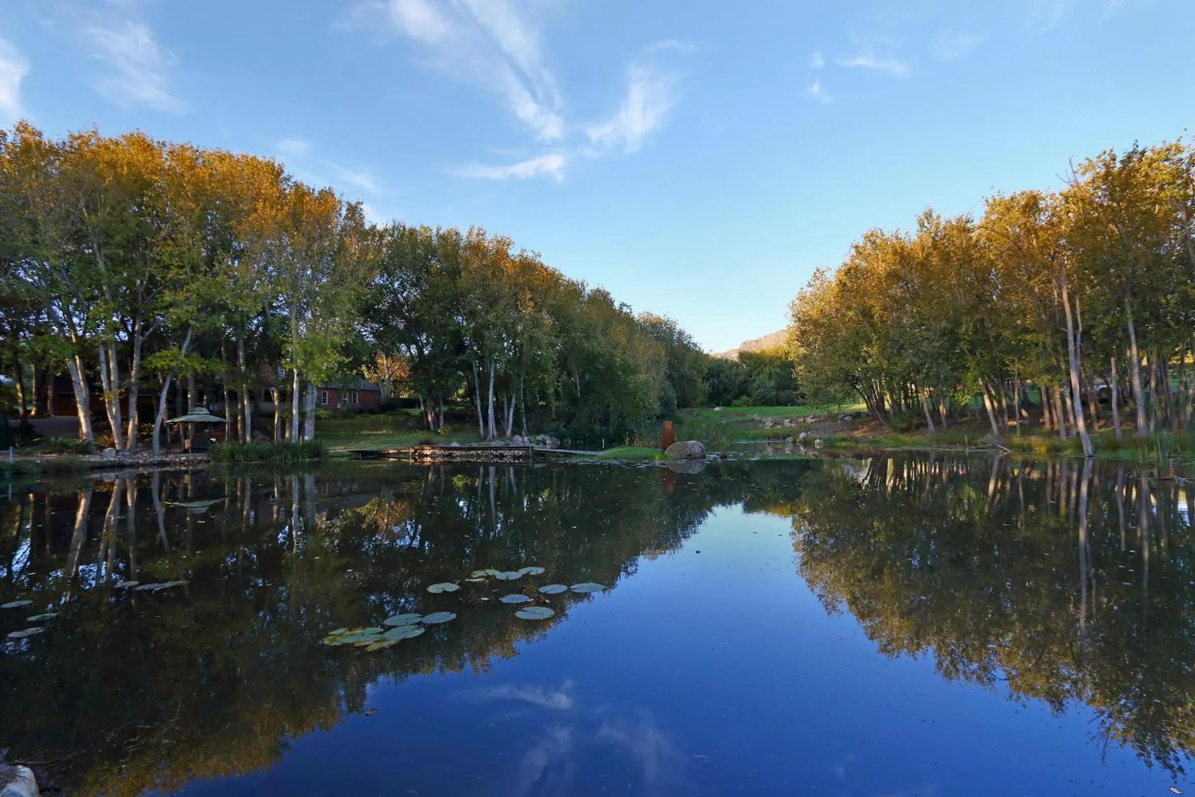 Property building in Marshden Estate