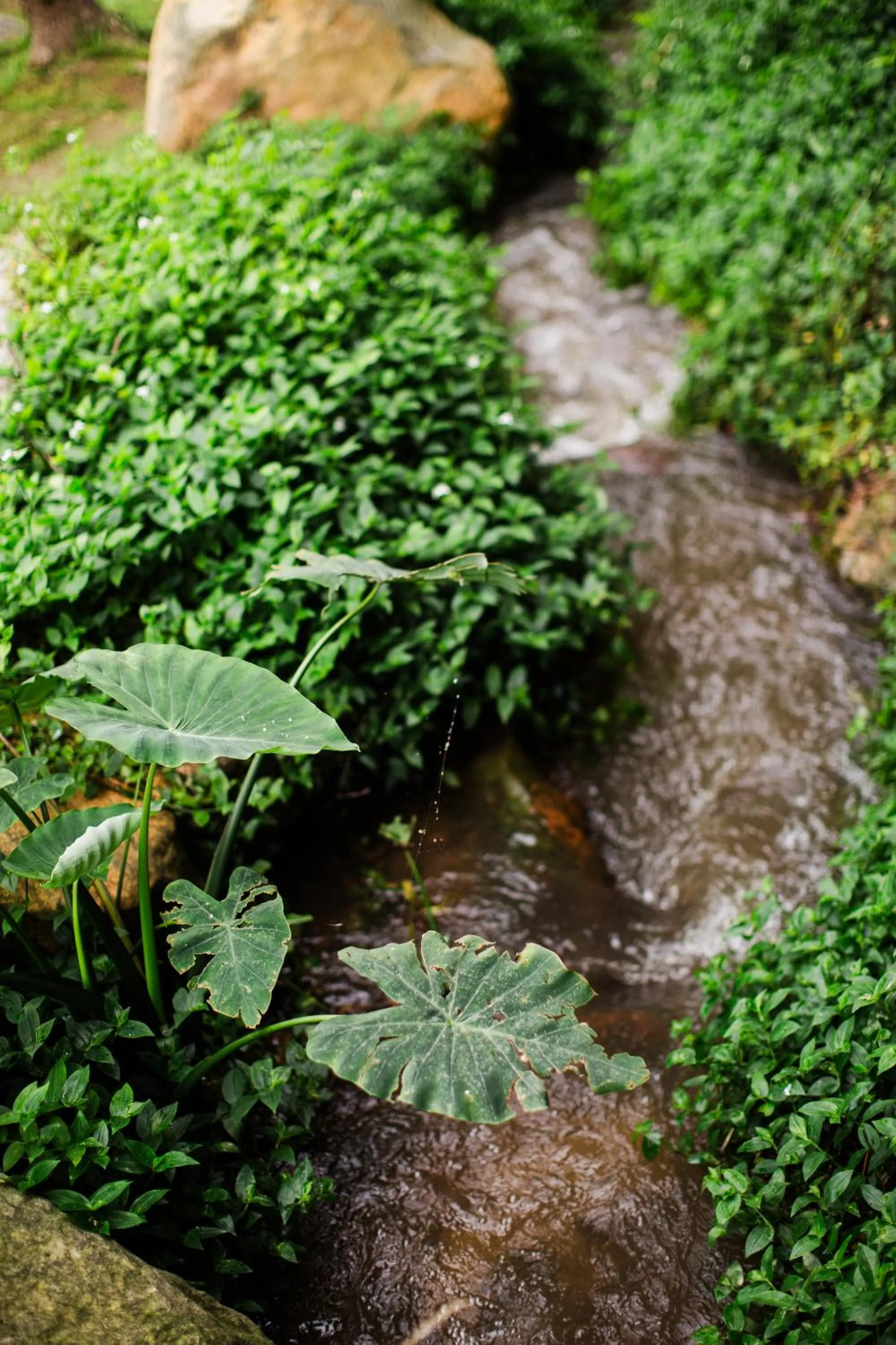 River view in Marshden Estate