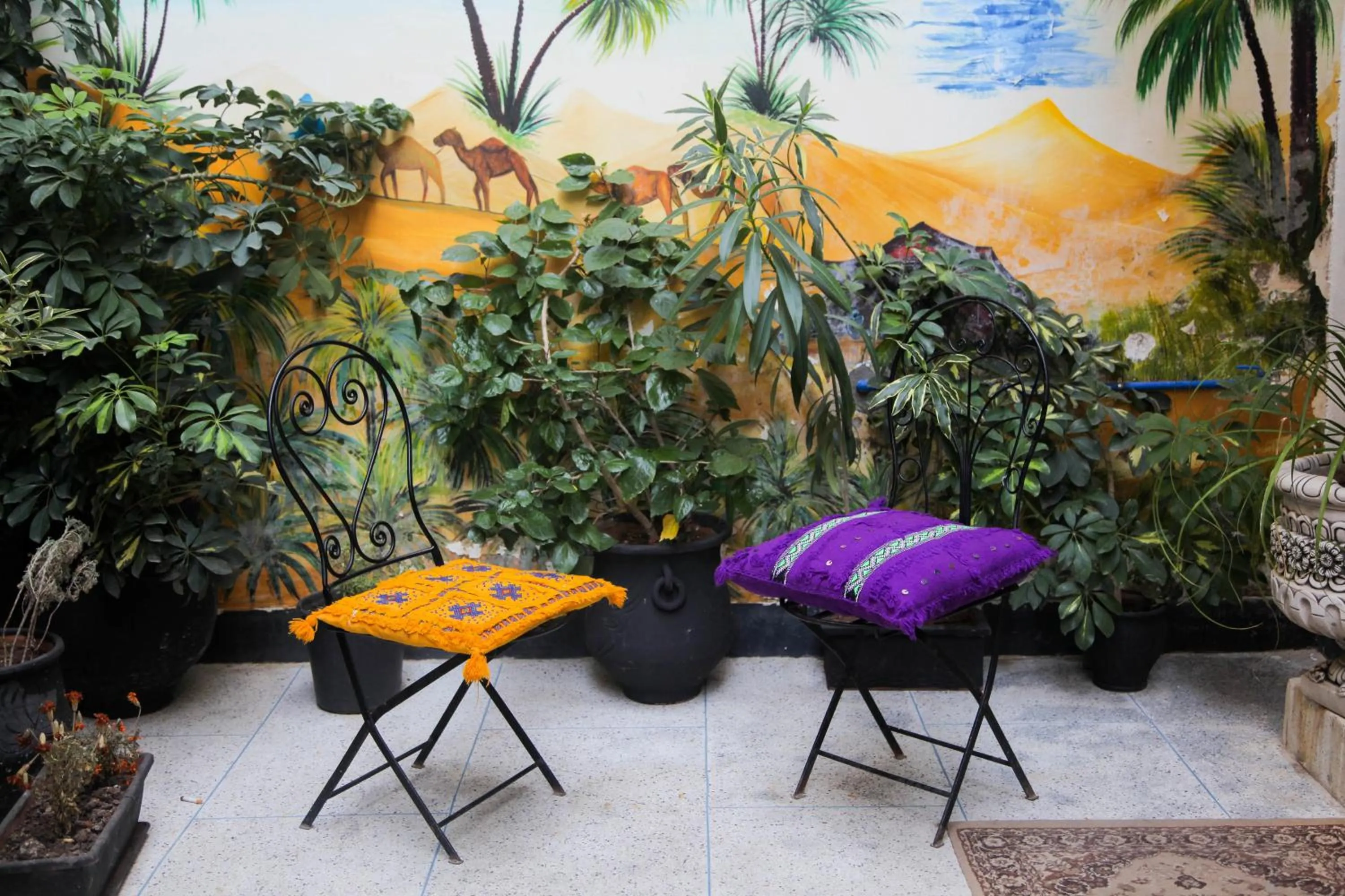 Patio in Dar Berrada - Ziat