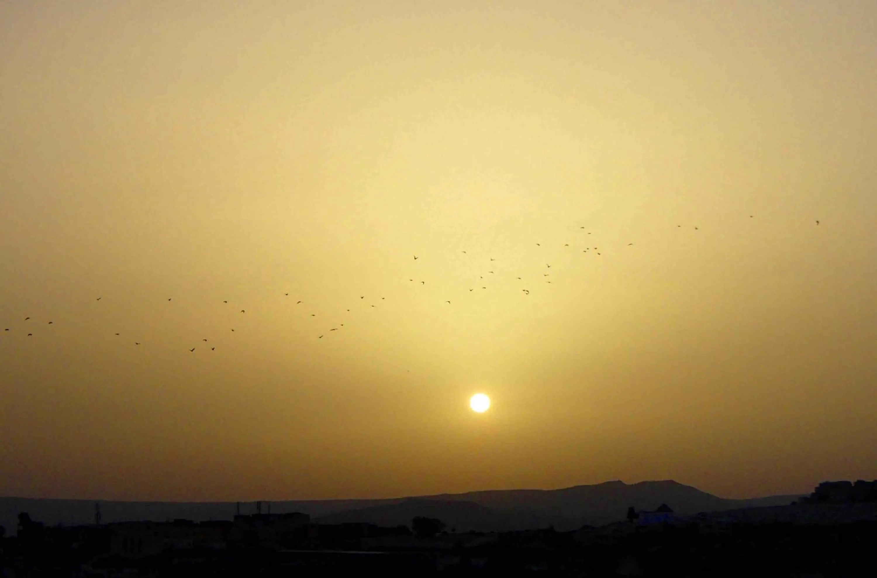 Property building, Natural Landscape in Dar Berrada - Ziat