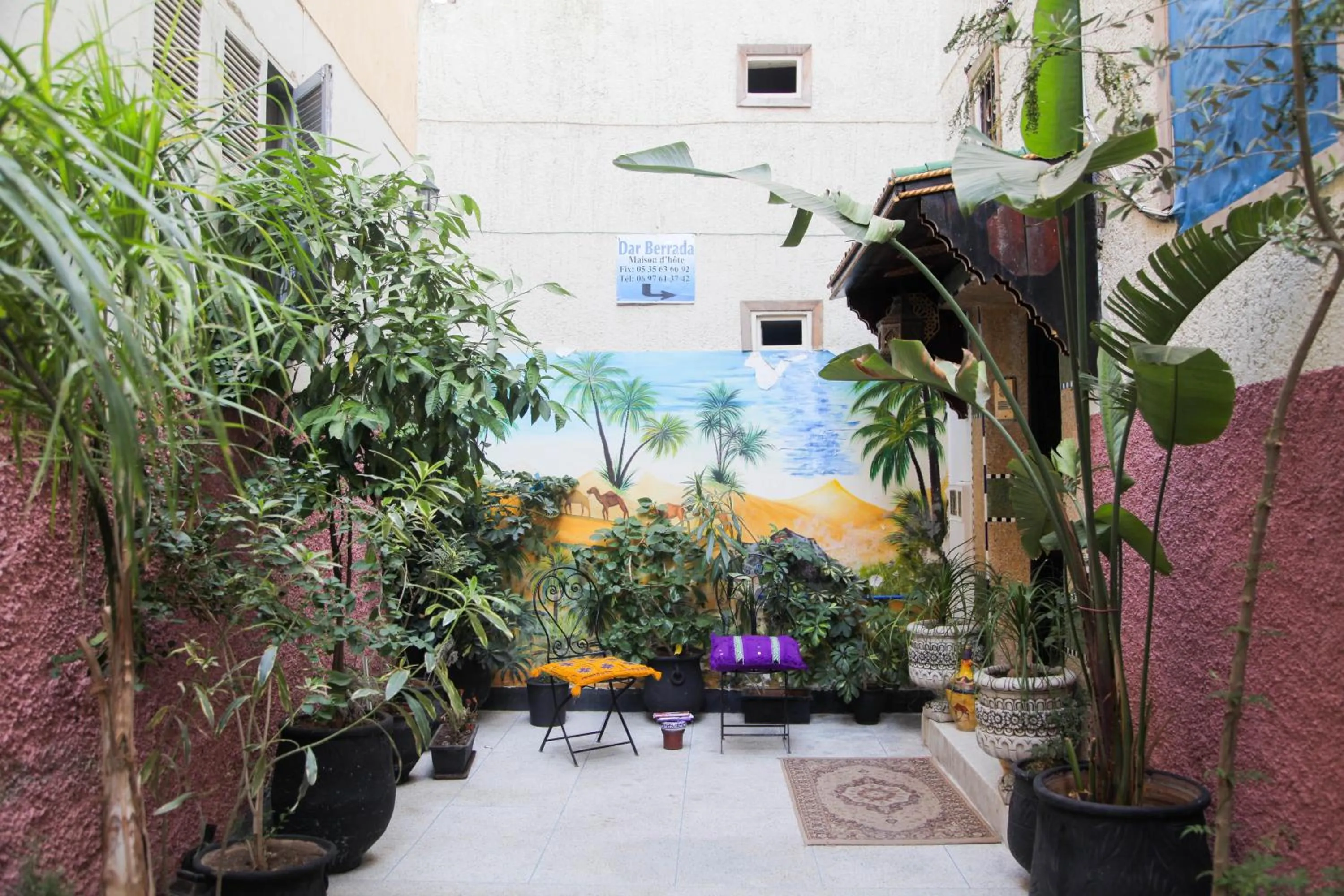 Garden in Dar Berrada - Ziat