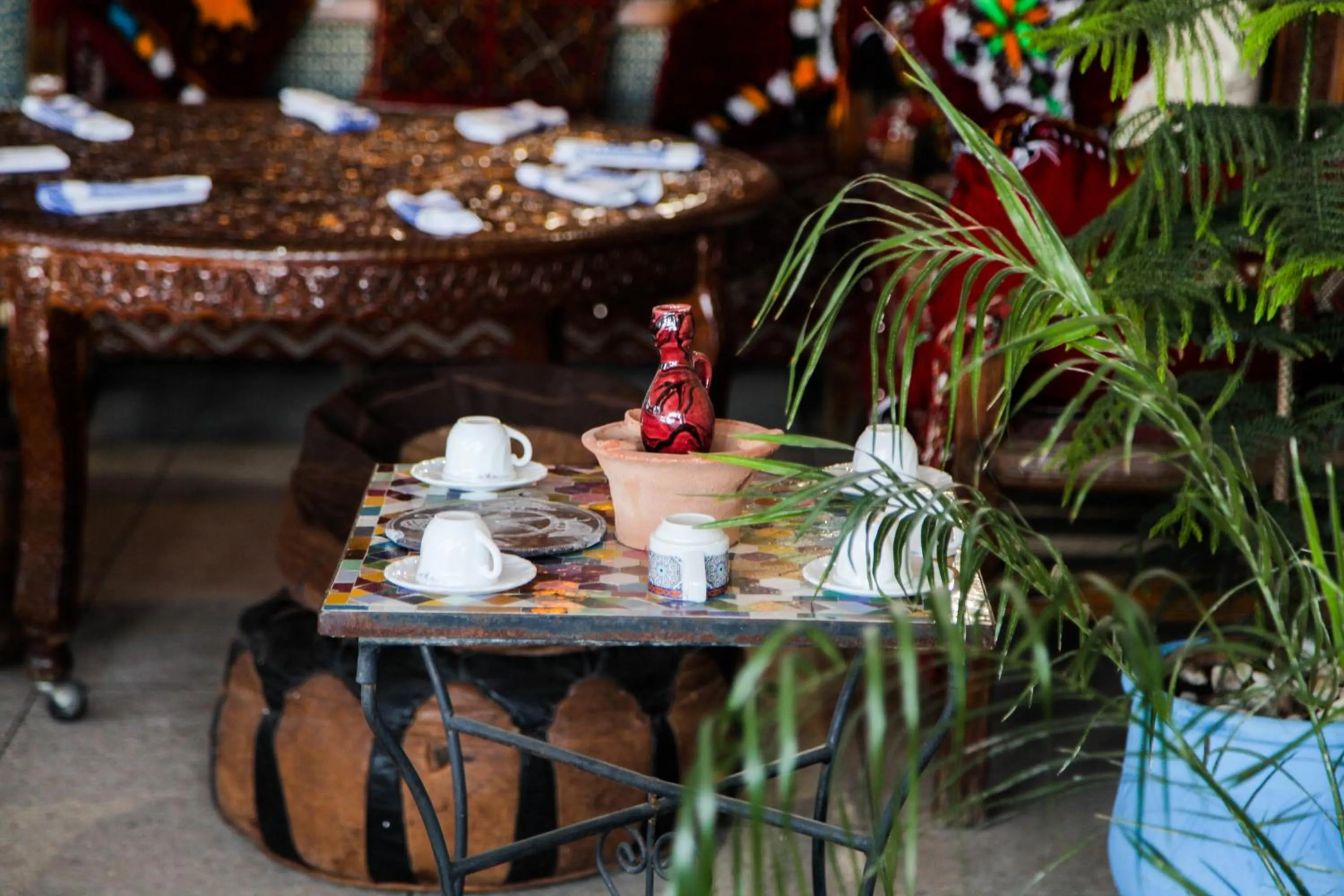 Food and drinks in Dar Berrada - Ziat