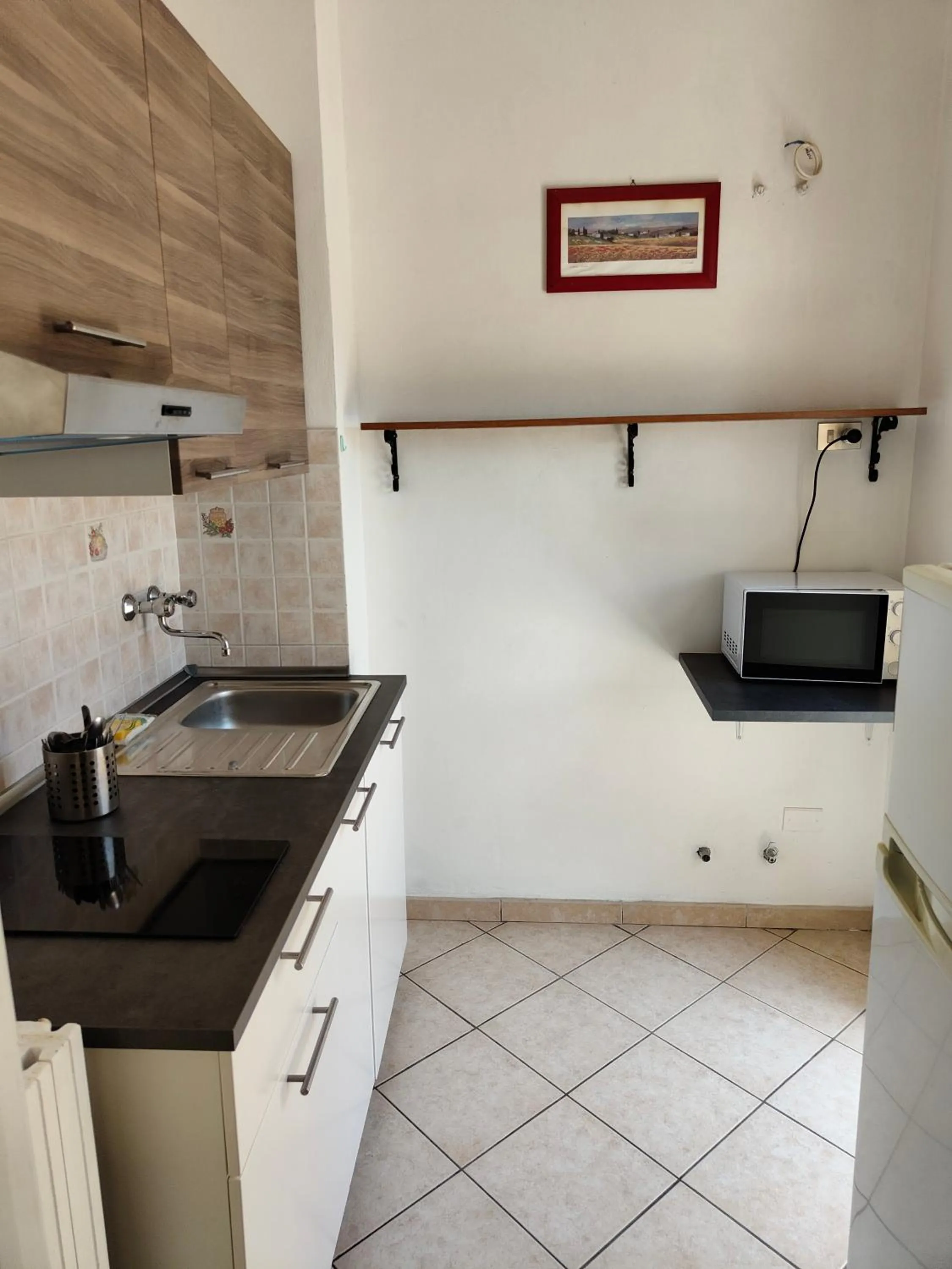 Kitchen or kitchenette in Residence Hotel Vittoria