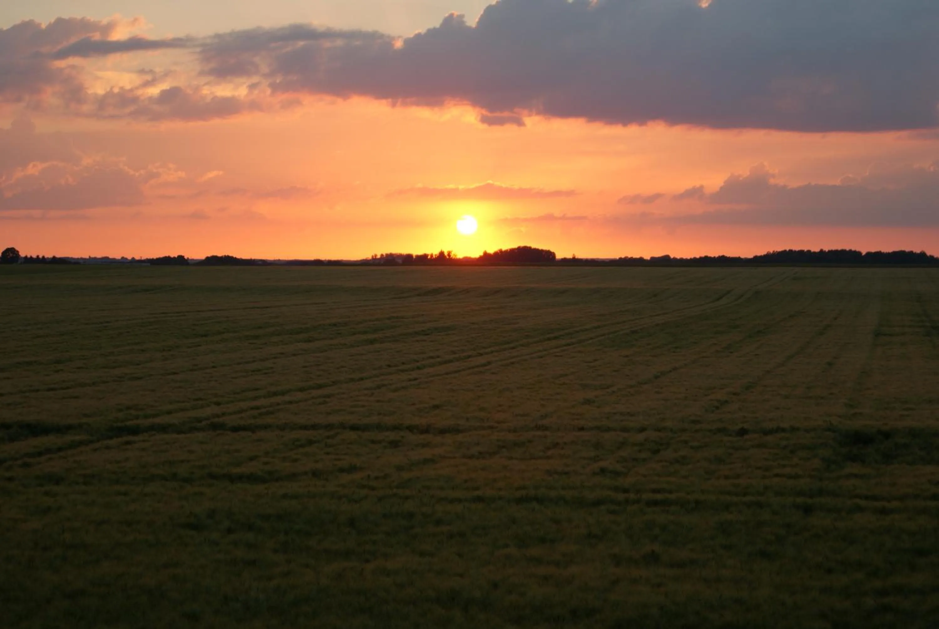 Garden view in La Bihourderie