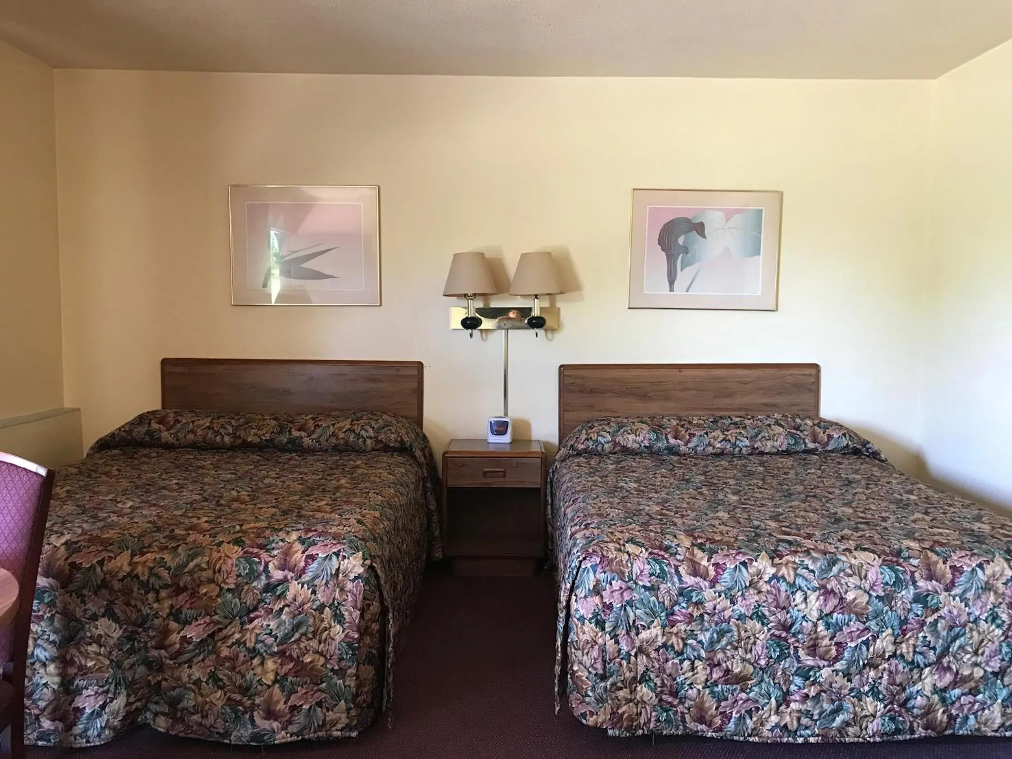 Bed in Allenwood Motel