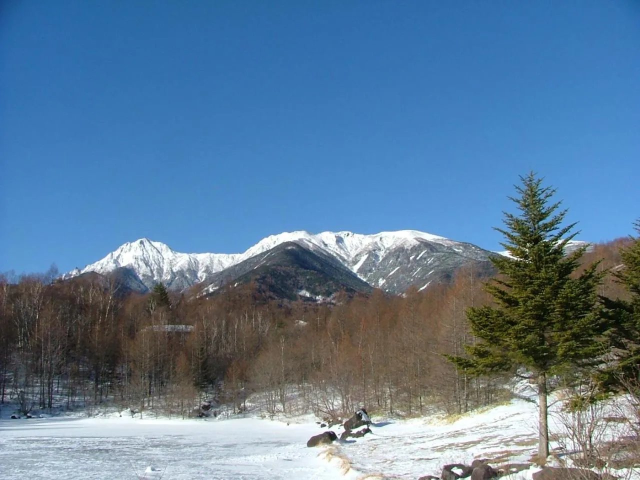 On site in Yatsugatake Kogen Lodge