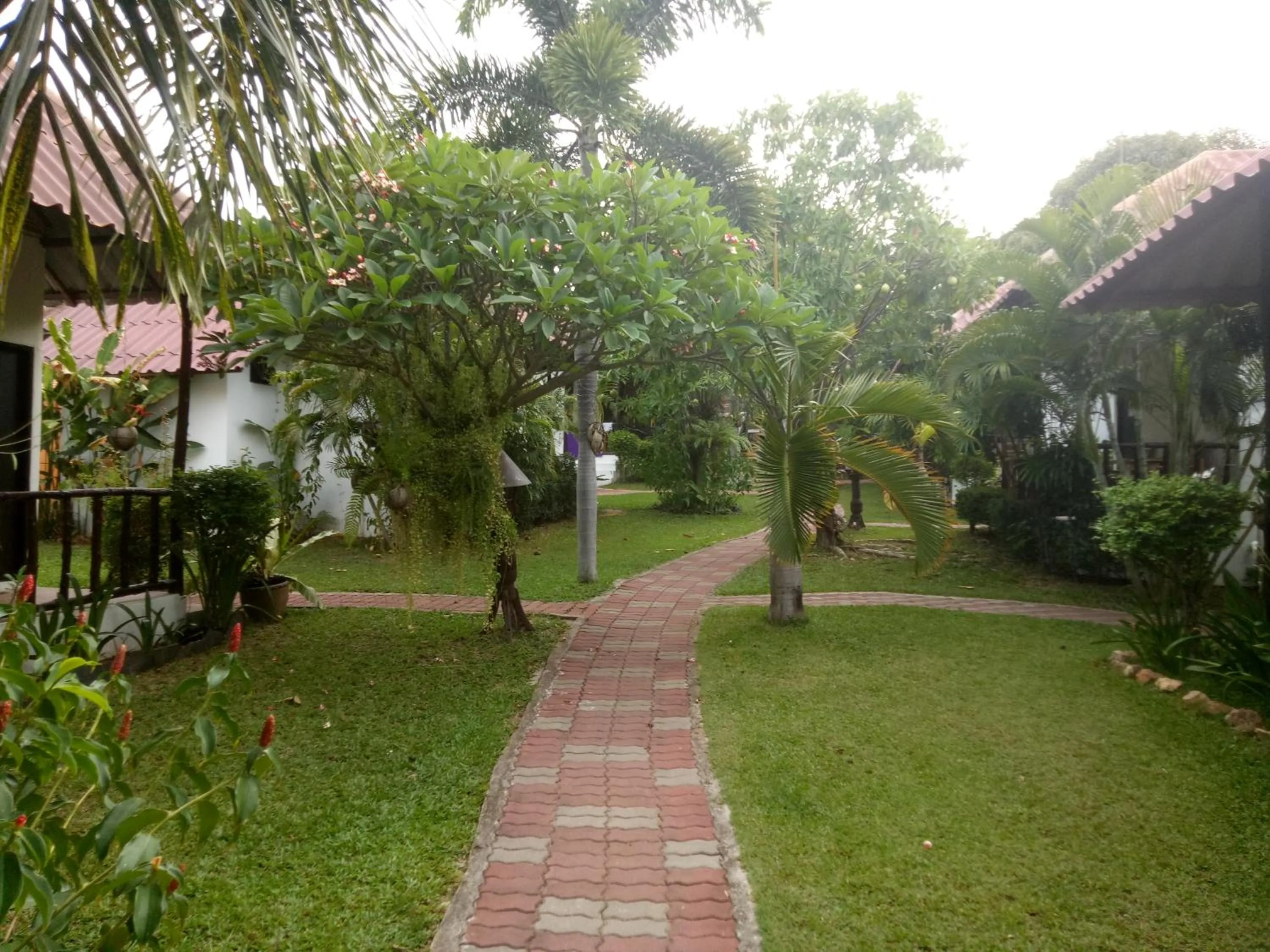 Garden in Bee Nat Garden Resort