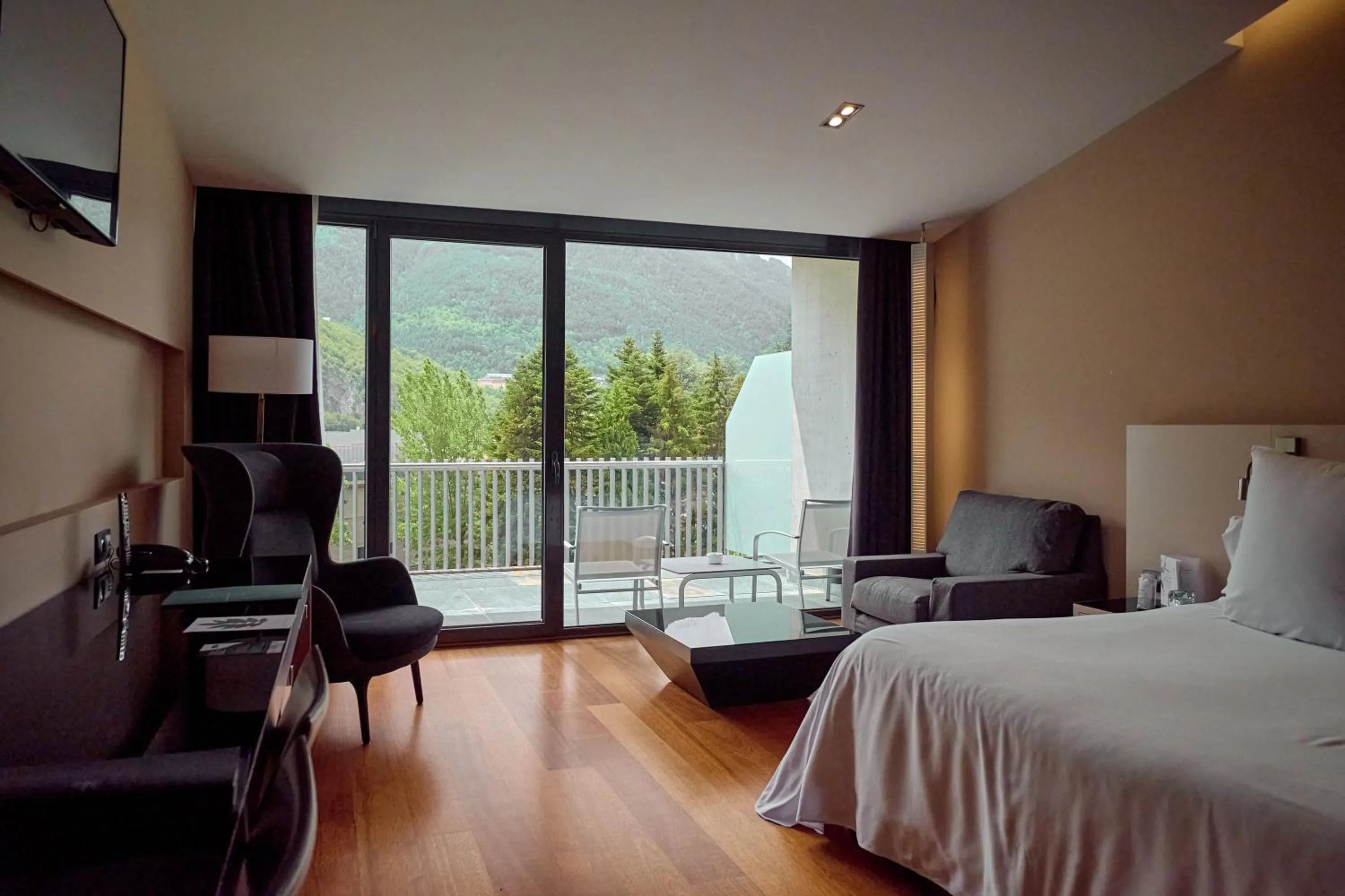 Photo of the whole room, Bed in Andorra Park Hotel